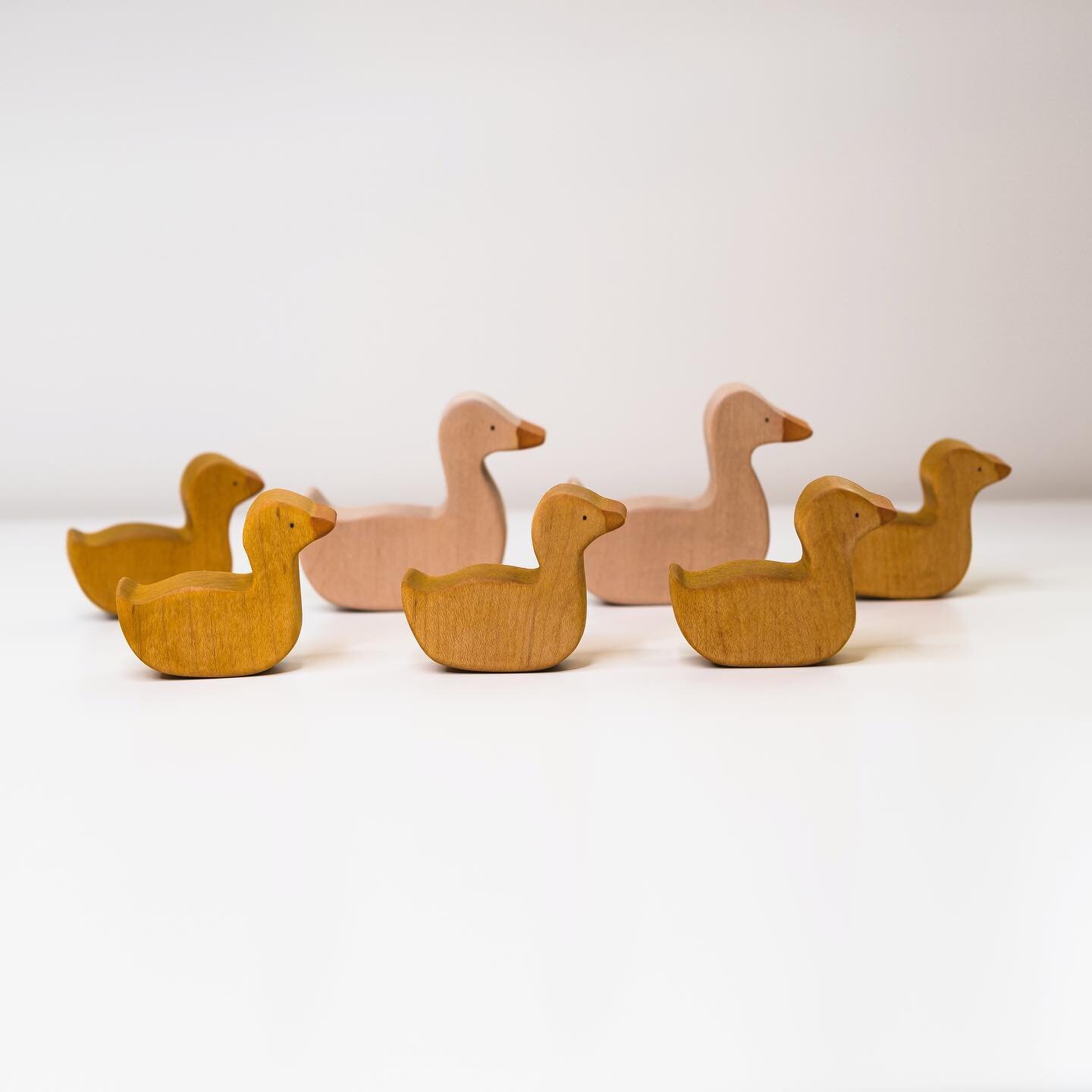 A maple hardwood set almost ready for their new home. If you would like a duck family of your own please put your email down on the website. These sets have been selling before they get listed. 

#vancouvermoms #woodentoys #woodentoyscanada #naturalt
