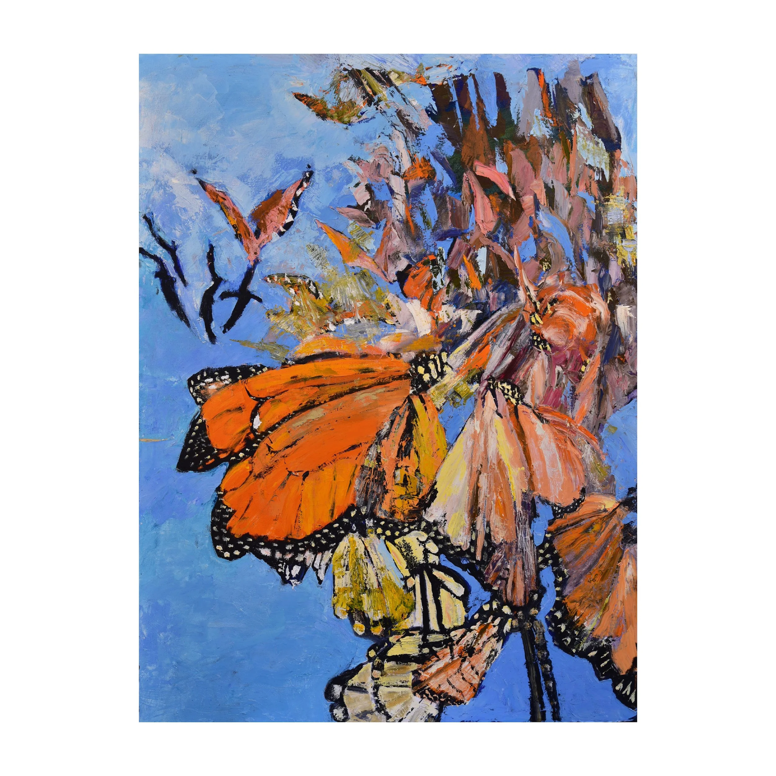 Monarchs Mating in Mexico
