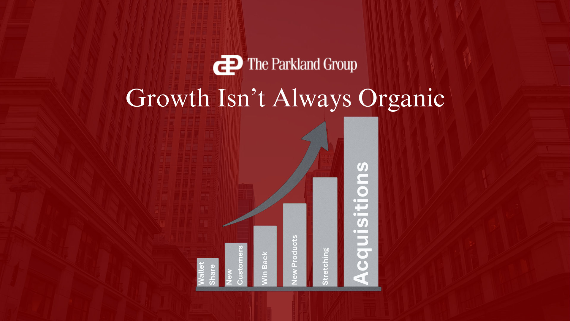 Acquisitions as a Non-Organic Growth Lever in the SOAR Growth Engine™
