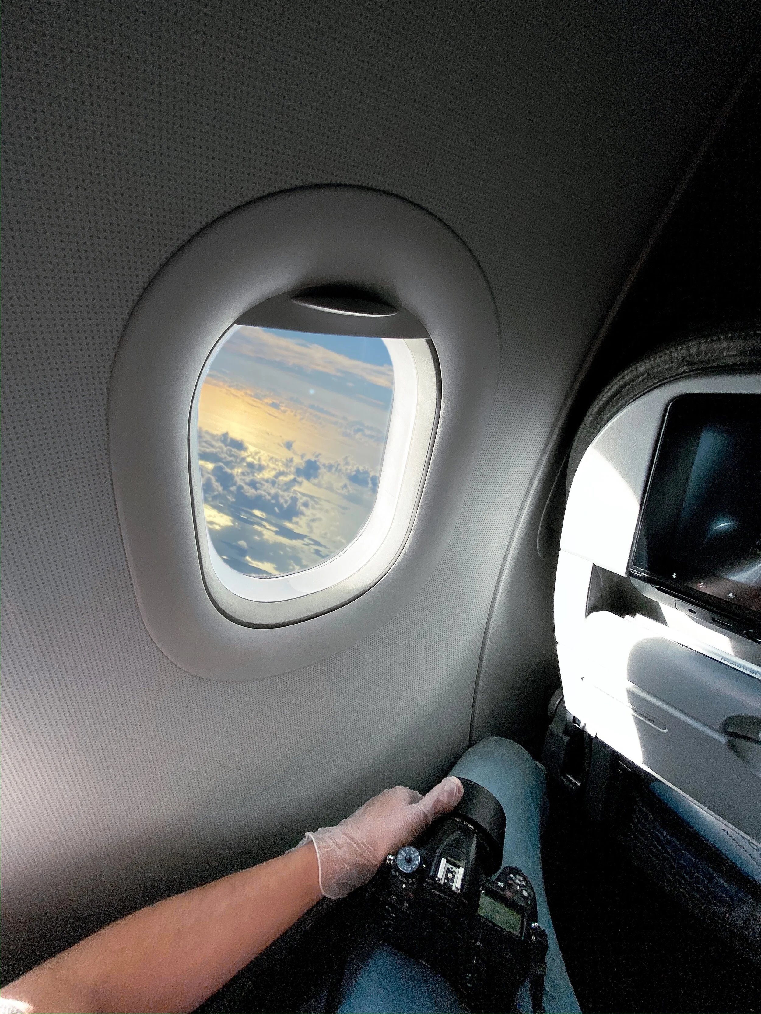 Zona de Confort. 2021