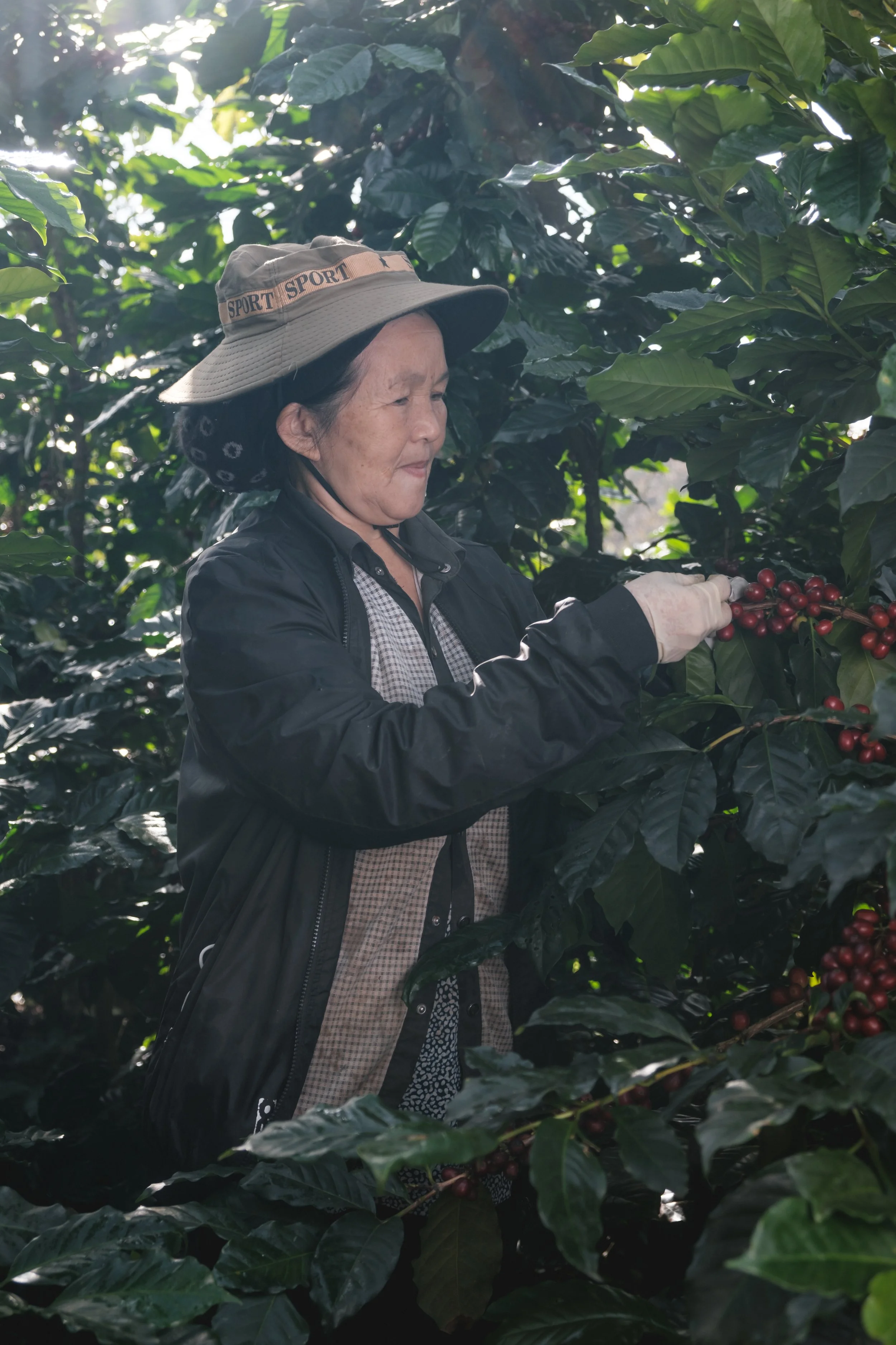 Mercafe Vietnam_Lam Dong farm (18).jpg