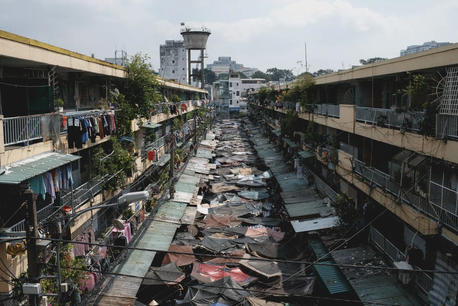 Exploring Saigon's wet markets