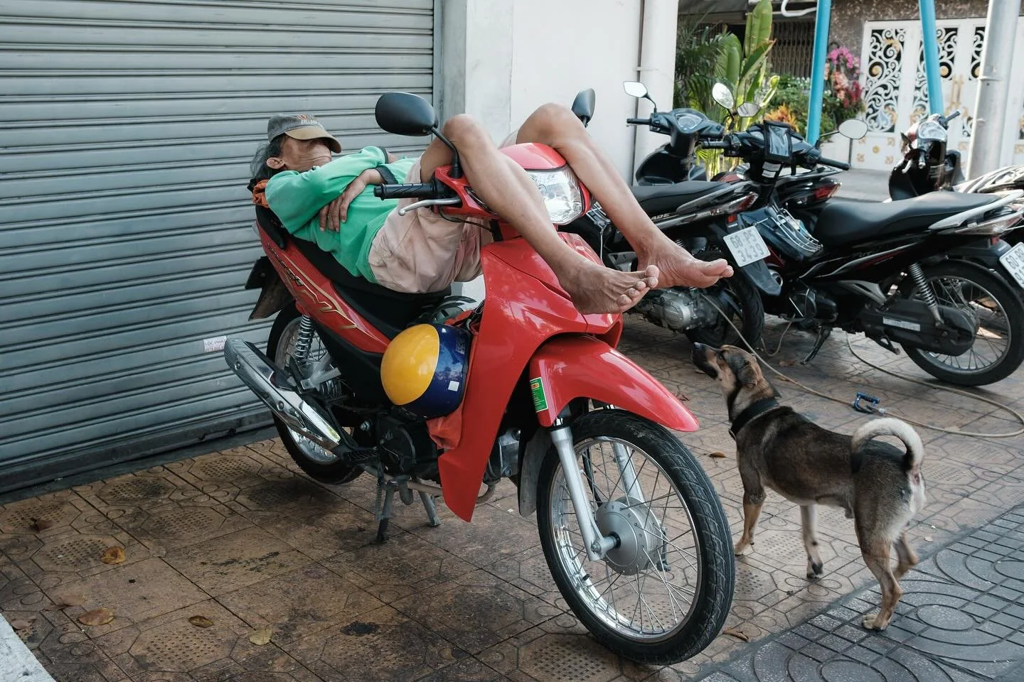 [SAIGON] Napping: Vietnam&rsquo;s national sport
&bull;
&bull;
&bull;
#MyVietnam #streetstyle #vietnamstreets #life_is_street #myspc #friendsinstreets #streethunters #trs_members #streetsansfrontieres #spicollective #infinity_street #magnumphotos #yo