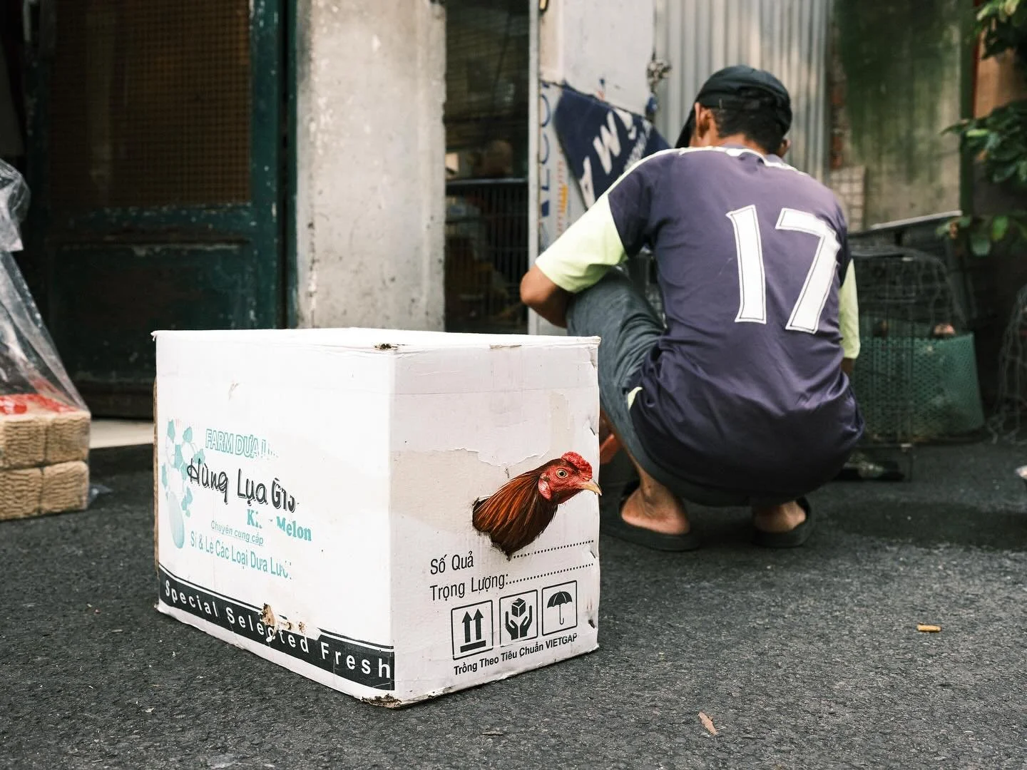 [SAIGON] Fly the coop 🐔
&bull;
&bull;
&bull;
#MyVietnam #streetstyle #vietnamstreets #life_is_street #myspc #friendsinstreets #streethunters #trs_members #streetsansfrontieres #spicollective #infinity_street #magnumphotos #yourshotphotographer #repo