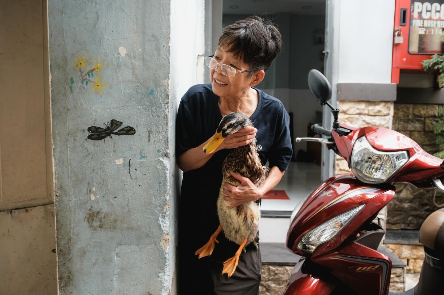 [SAIGON] Recent encounters with wildlife in Saigon
&bull;
&bull;
&bull;
#MyVietnam #streetphotography #vietnamstreets #saigonphototours