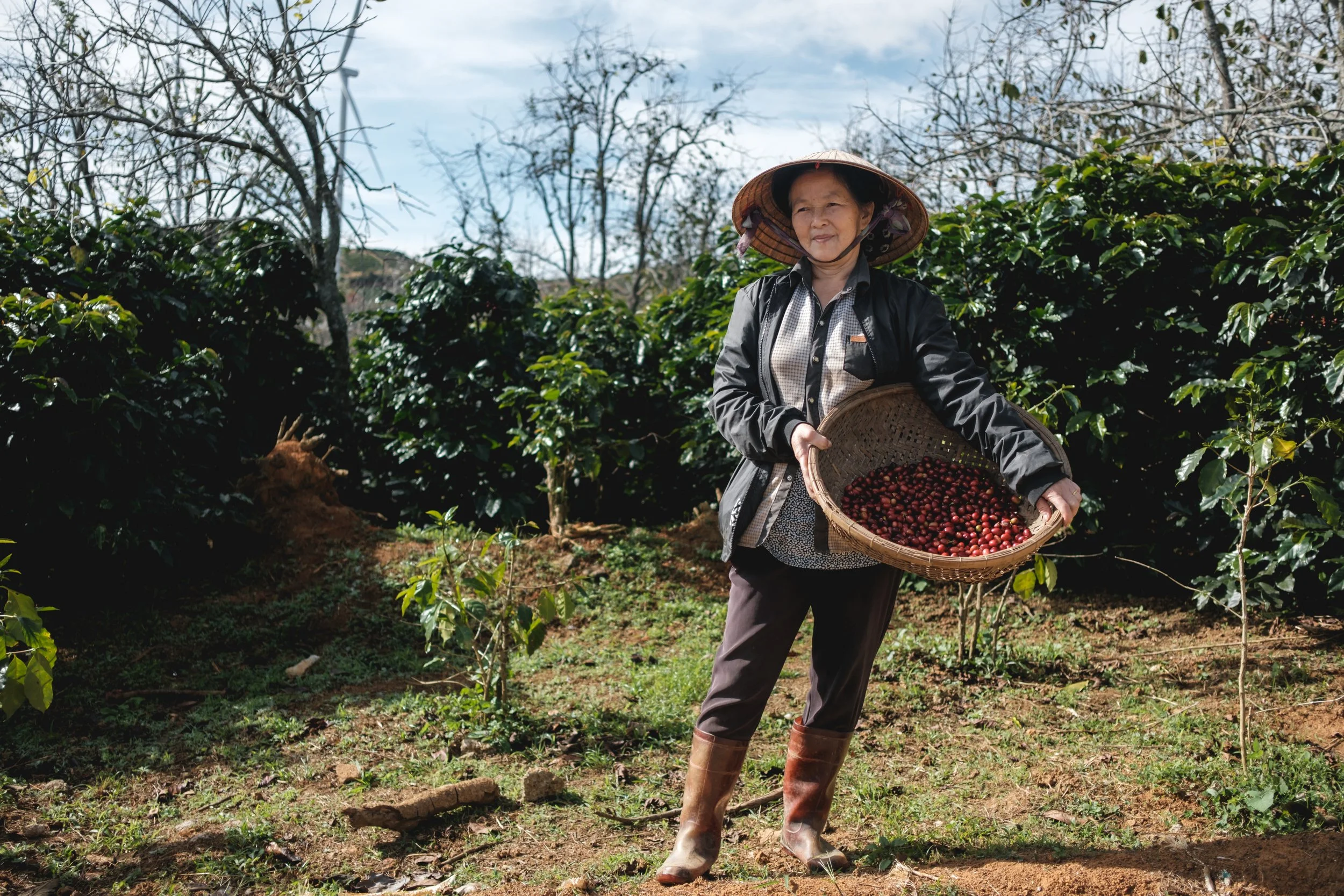 Mercafe Vietnam_Lam Dong farm (31).jpg