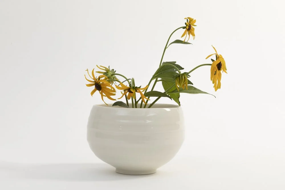 Rebecca Harvey - Bowl of Stars