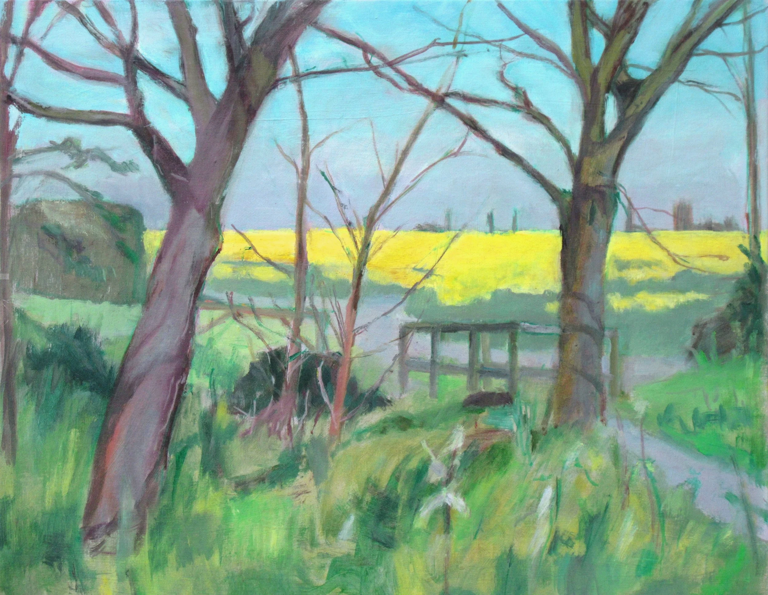 HL Yellow field, grantchester hi-res.jpg