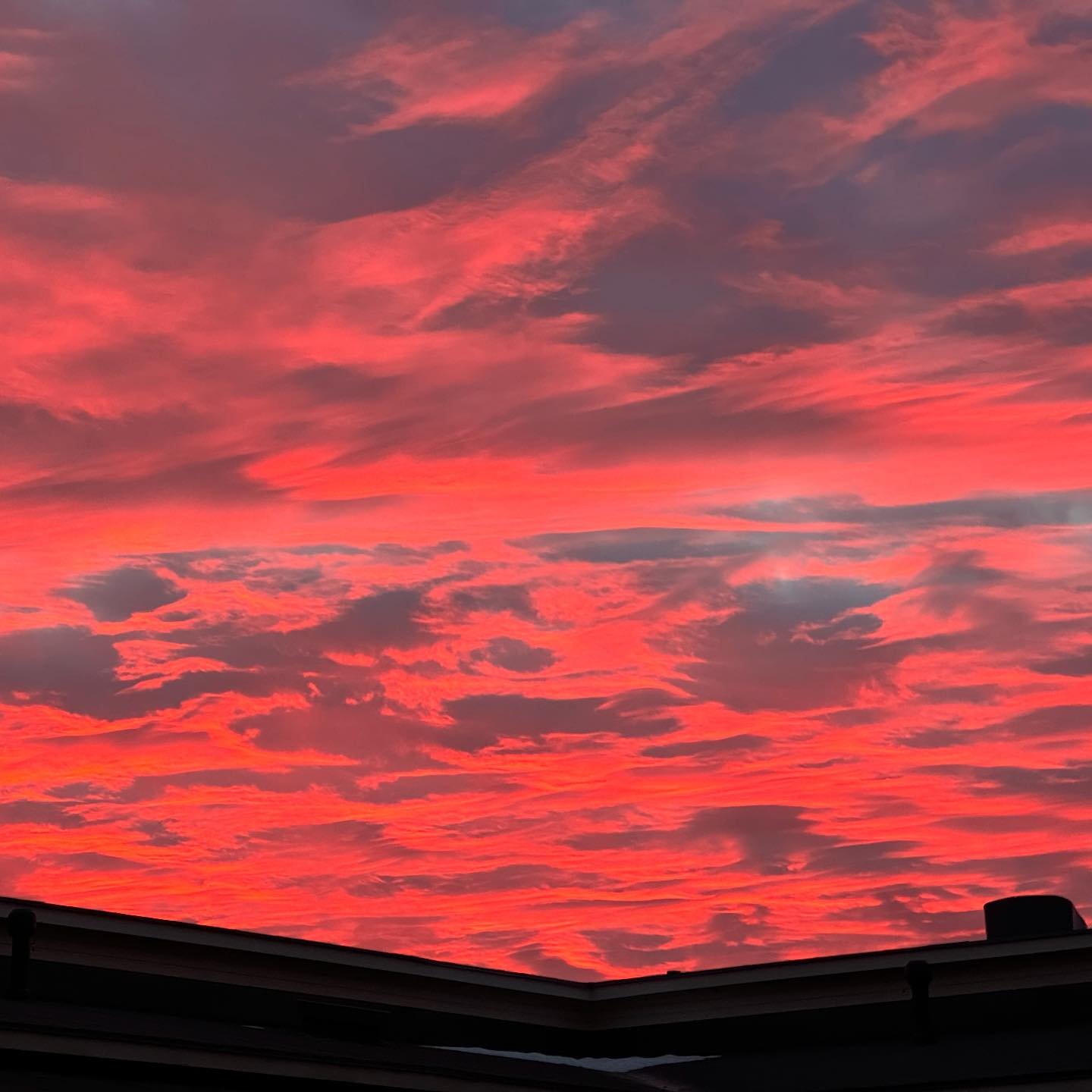 VIIKON PARHAAT 🫶🏻 

Kivoja hetki&auml; viime viikolta🩷
Arkea, yrityksen t&ouml;it&auml;, lis&auml;ksi t&ouml;it&auml; varhaiskasvatuksessa, oma treeni&auml;, ihania tanssihetki&auml;, jouluvalmisteluita ja isoja tunteita yhdess&auml; koululaisen k