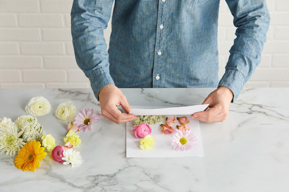 Comment faire sécher les fleurs d'hibiscus ? - Blog Promesse de fleurs