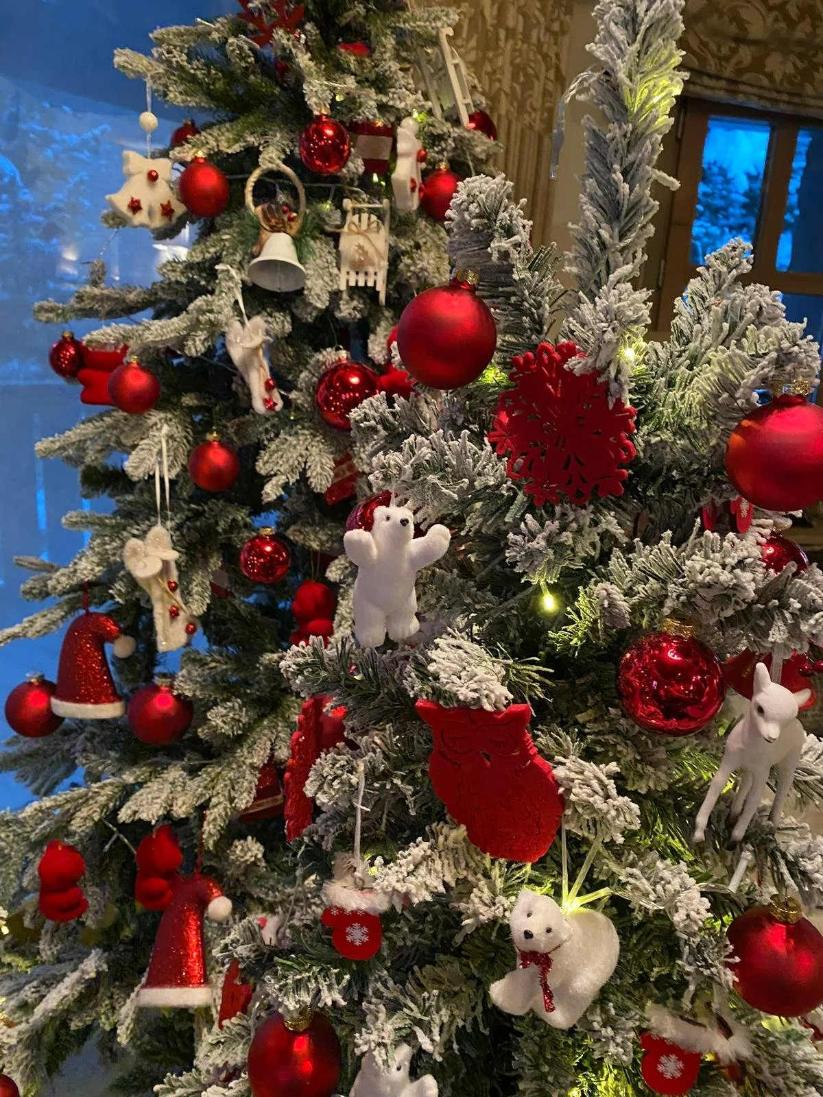 Sapin Santa Claus.jpeg