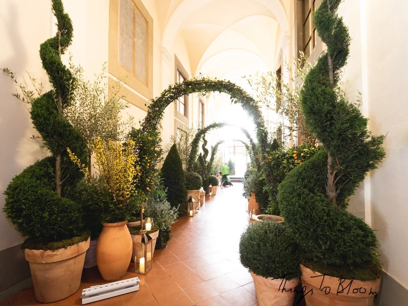 Thingstobloom - Couloir 1.jpeg