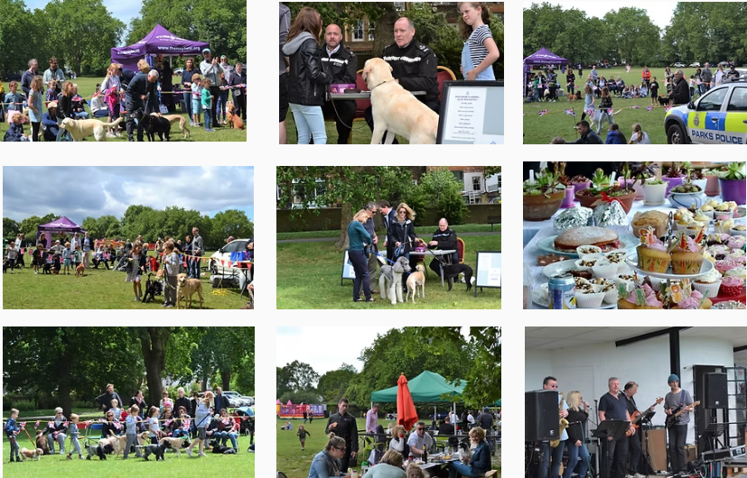 Annual Picnic in South Park, 13th June.