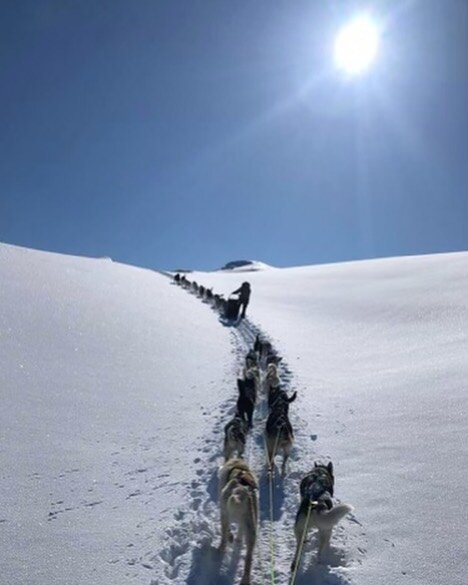 2️⃣9️⃣April👌🏻 

#sn&oslash;hettahusky #snohettahusky #hundekj&oslash;ring #folldal #villmarksliv #sn&oslash; #vinter #fjelltid