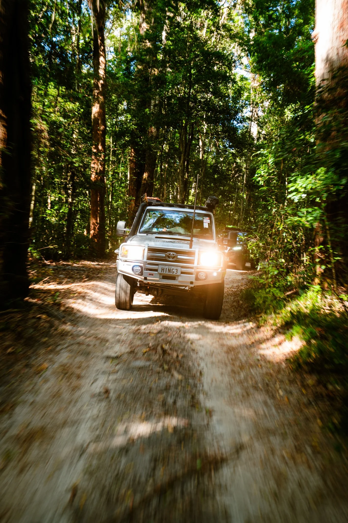 A white Toyota Land Cruiser driving through a forest dirt road with tall trees and green foliage on both sides.