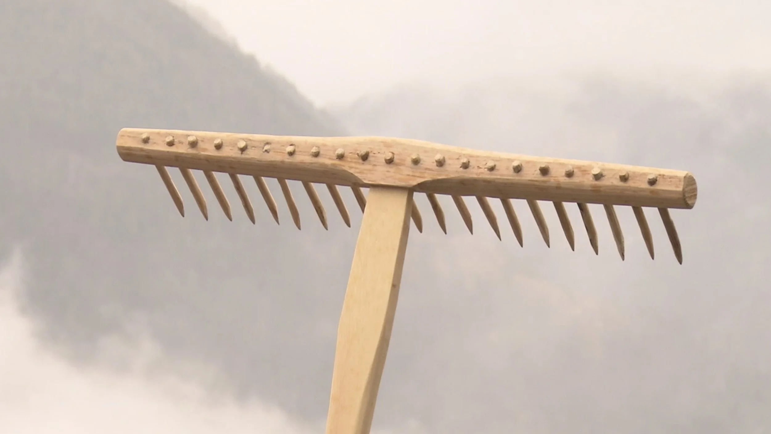 restie antepruma.jpeg