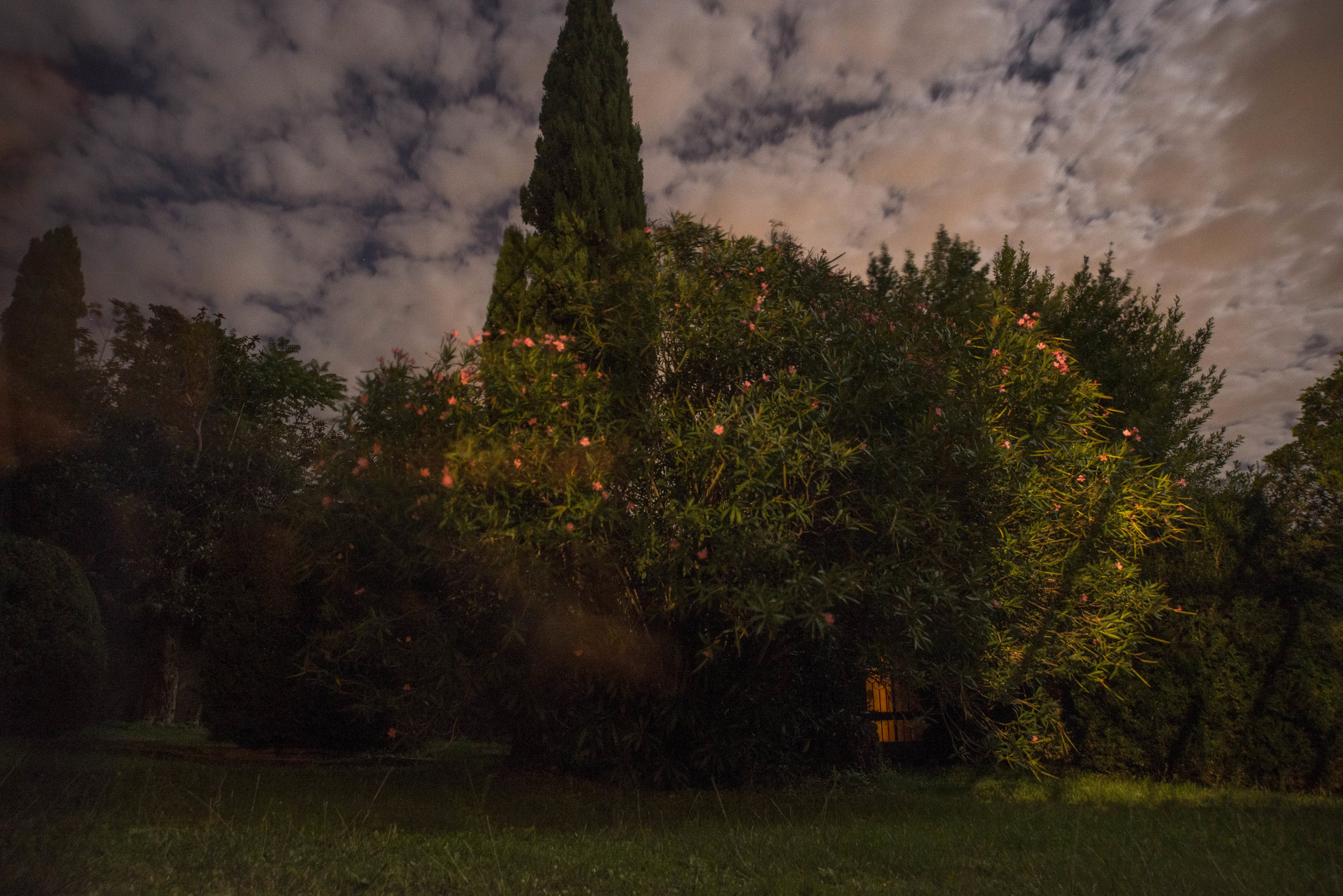 Pistoia - Italy (2013)