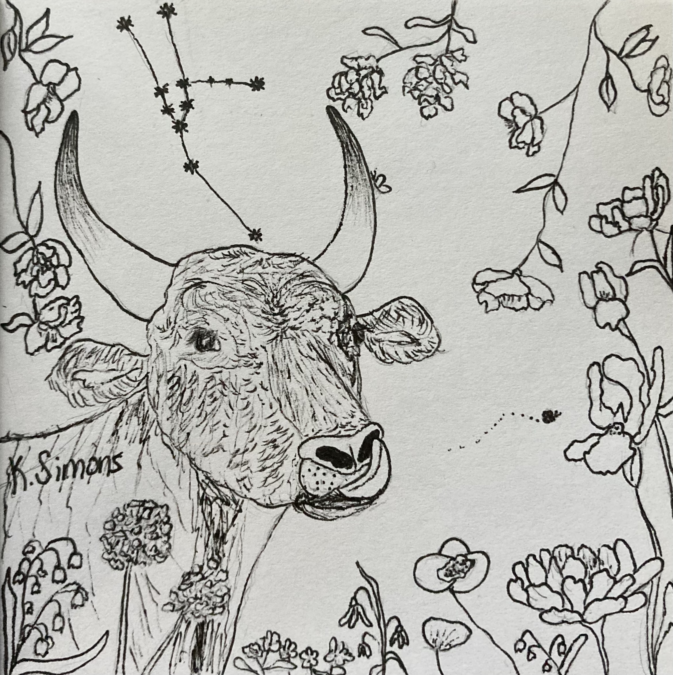 Taurus (Pen & pencil on paper, 3.75x3.75 inches, April 2025)