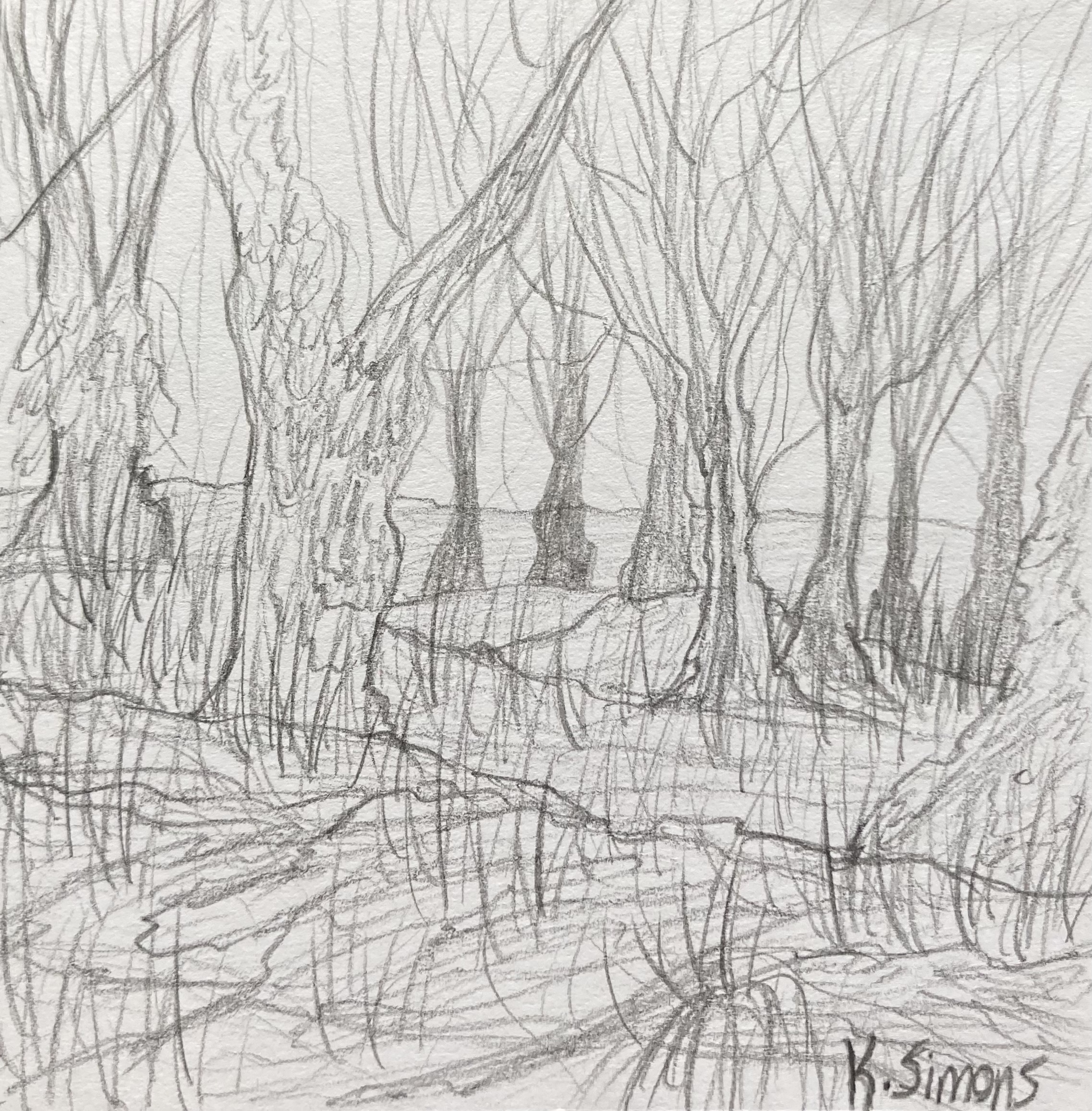 Fort of Trees (Pencil on paper, 3.75x3.75 inches, November 2024)