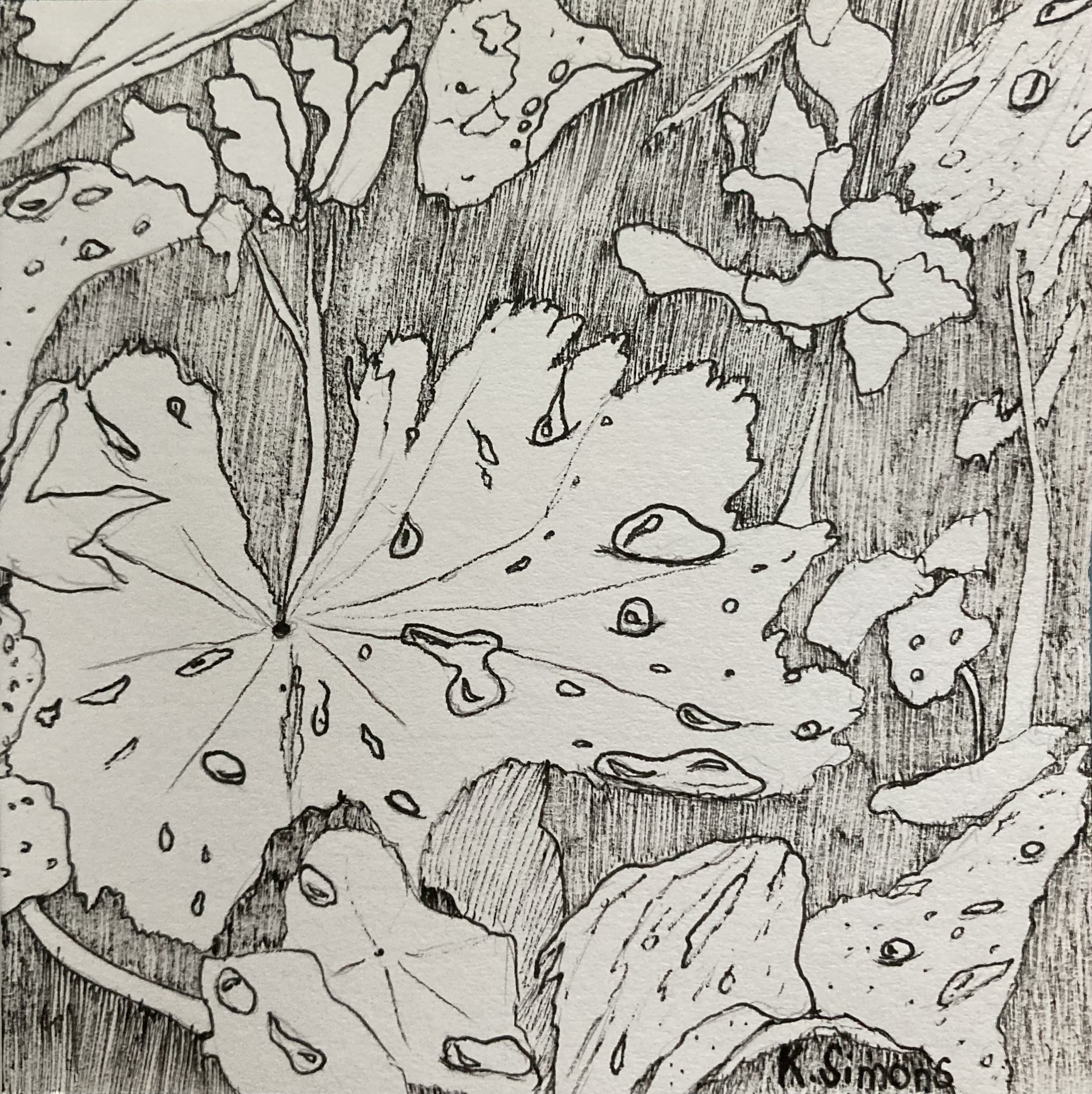 Dew (Pen & pencil on paper, 3.75x3.75 inches, June 2025)