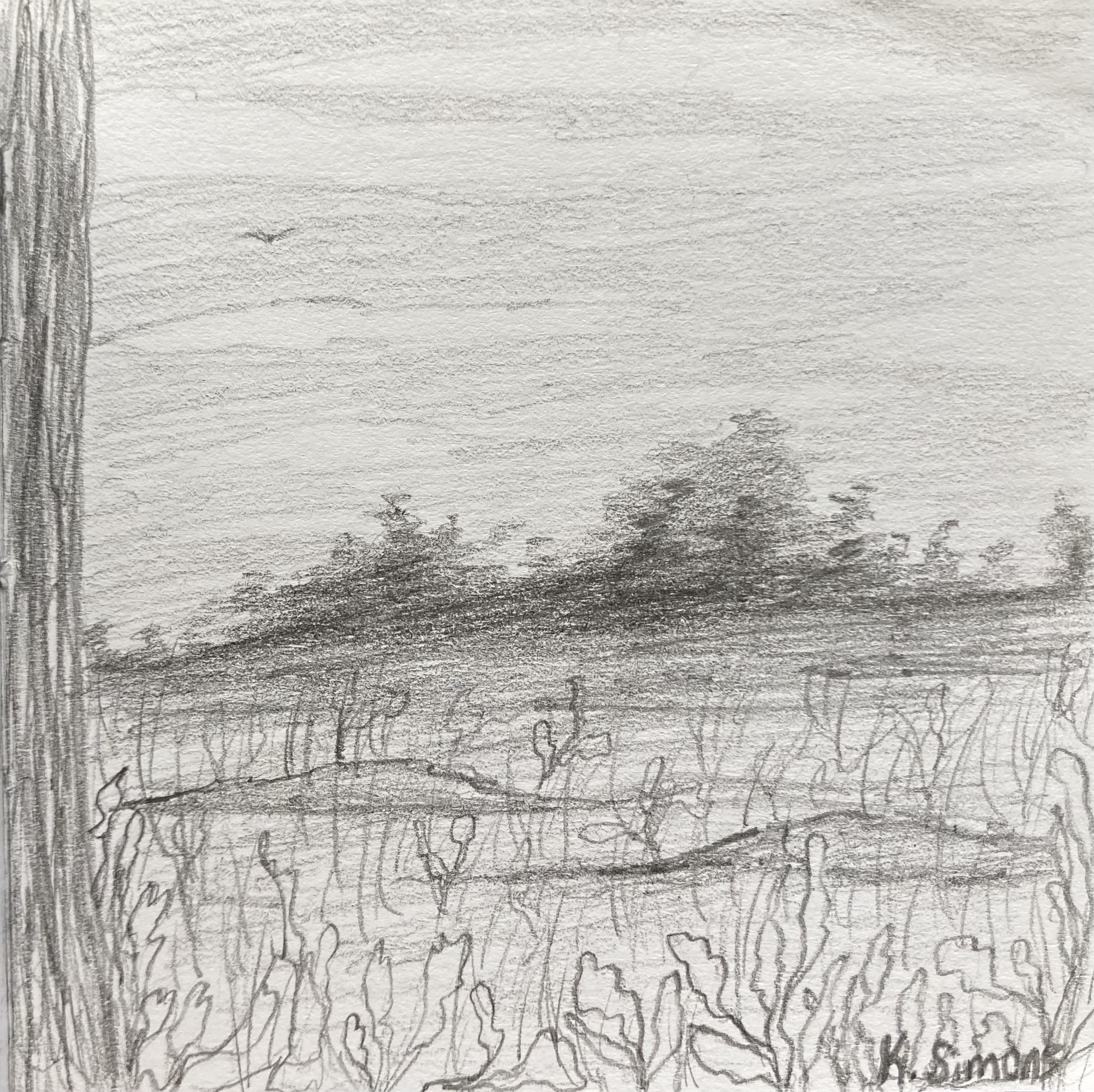 Hazy Field (Pencil on paper, 3.75x3.75 inches, November 2024)