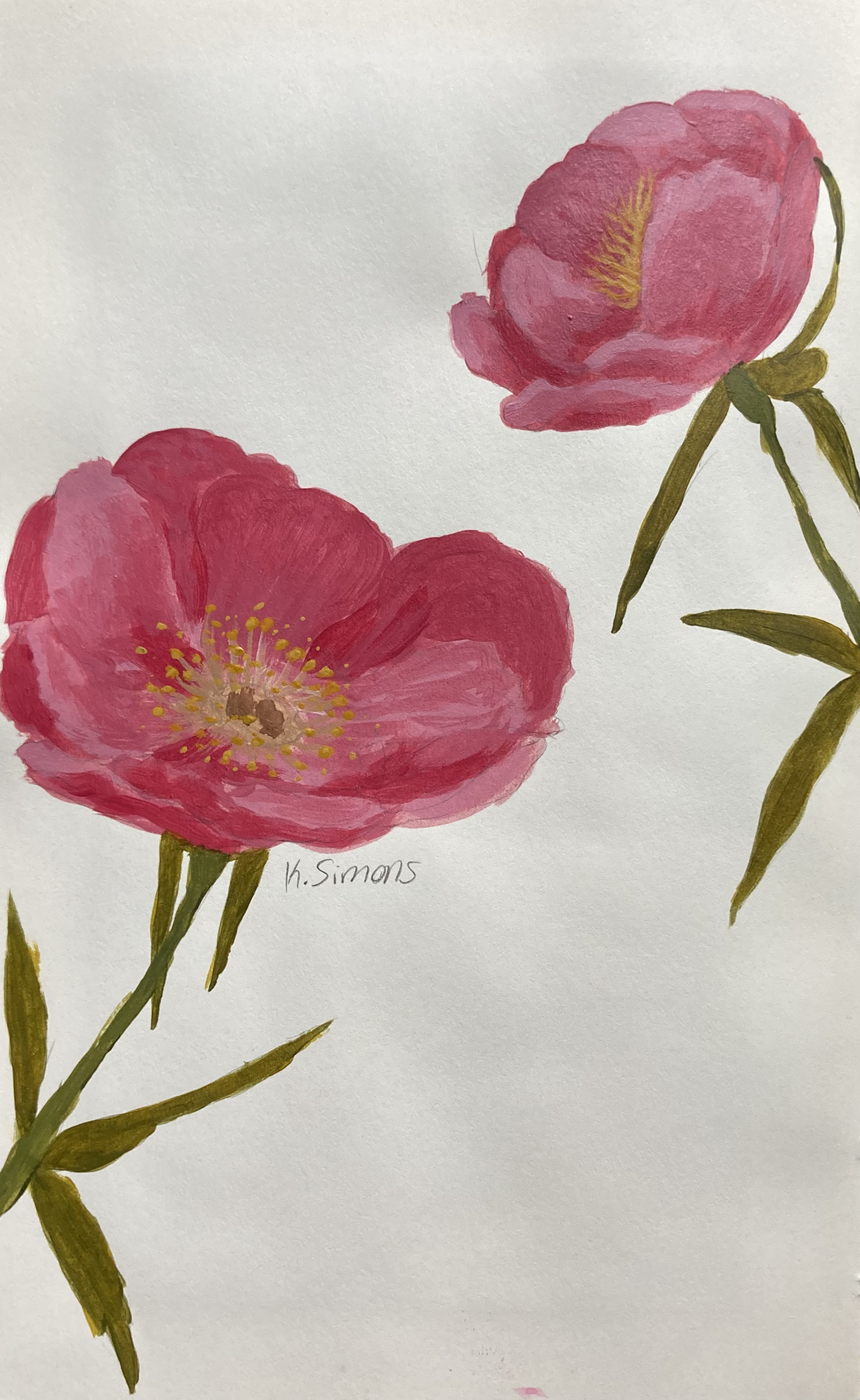 Peonies (Acrylic on paper, 5x8 inches, July 2025)