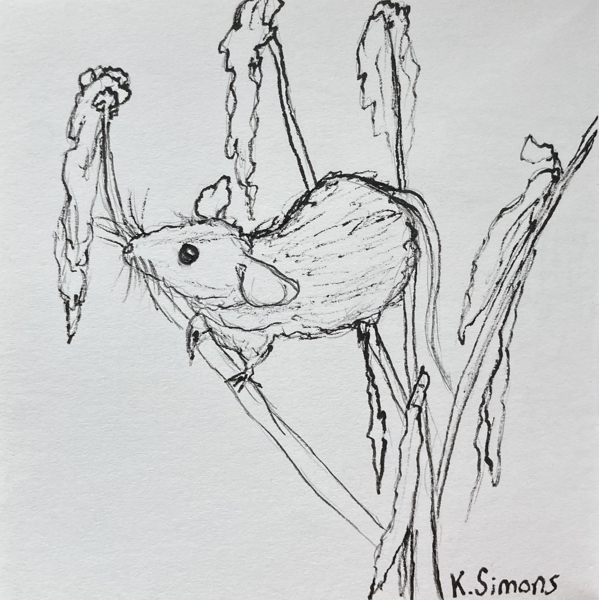 Inktober 52 #1&2: Free Time (Pen & pencil on paper, 3.75x3.75 inches, January 2026)