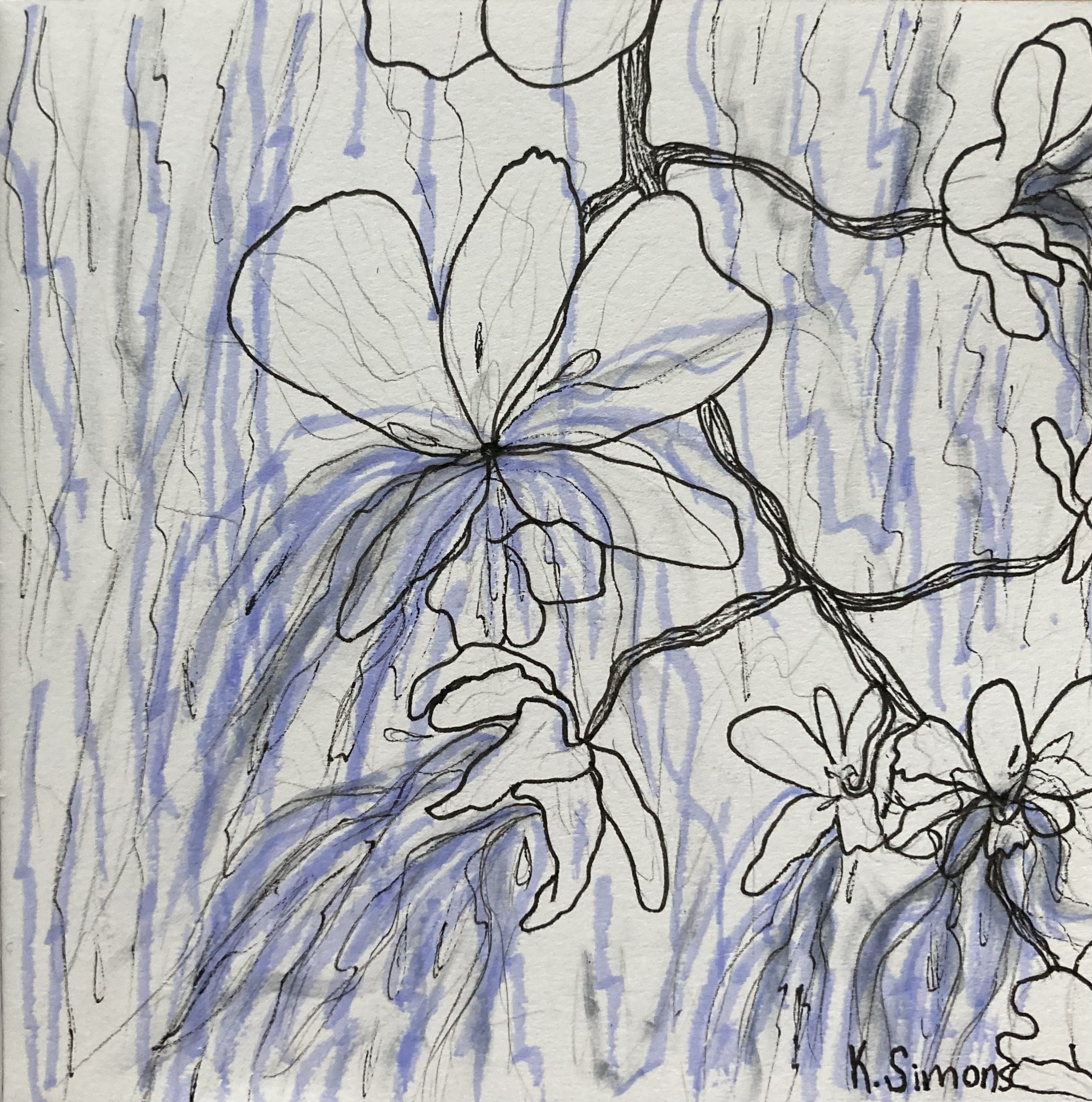 Aquarius (Pen, pencil & marker on paper, 3.75x3.75 inches, January 2025)