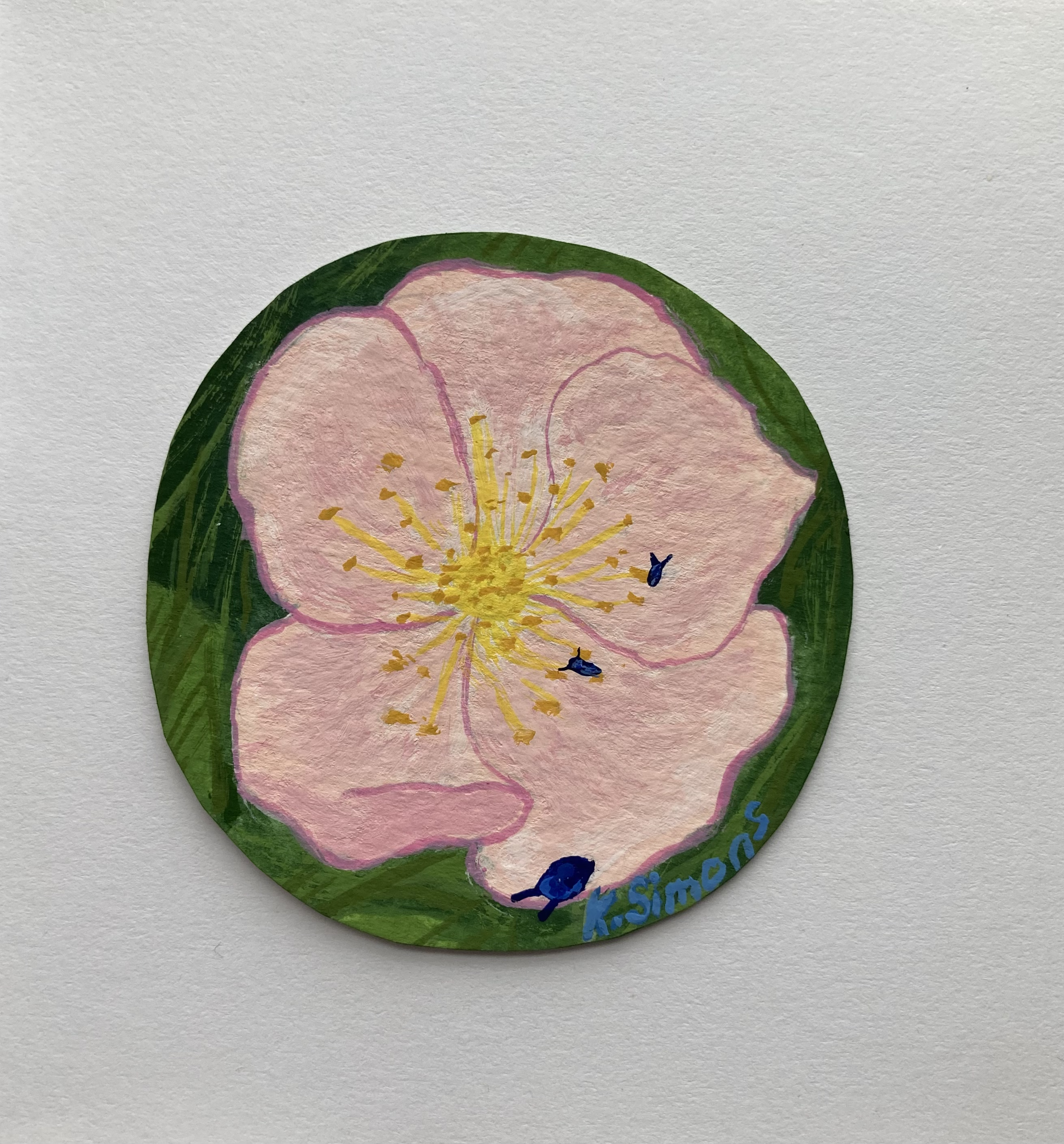 Flower & Bugs (Gouache on paper, 2.25 inch diameter, March 2025)