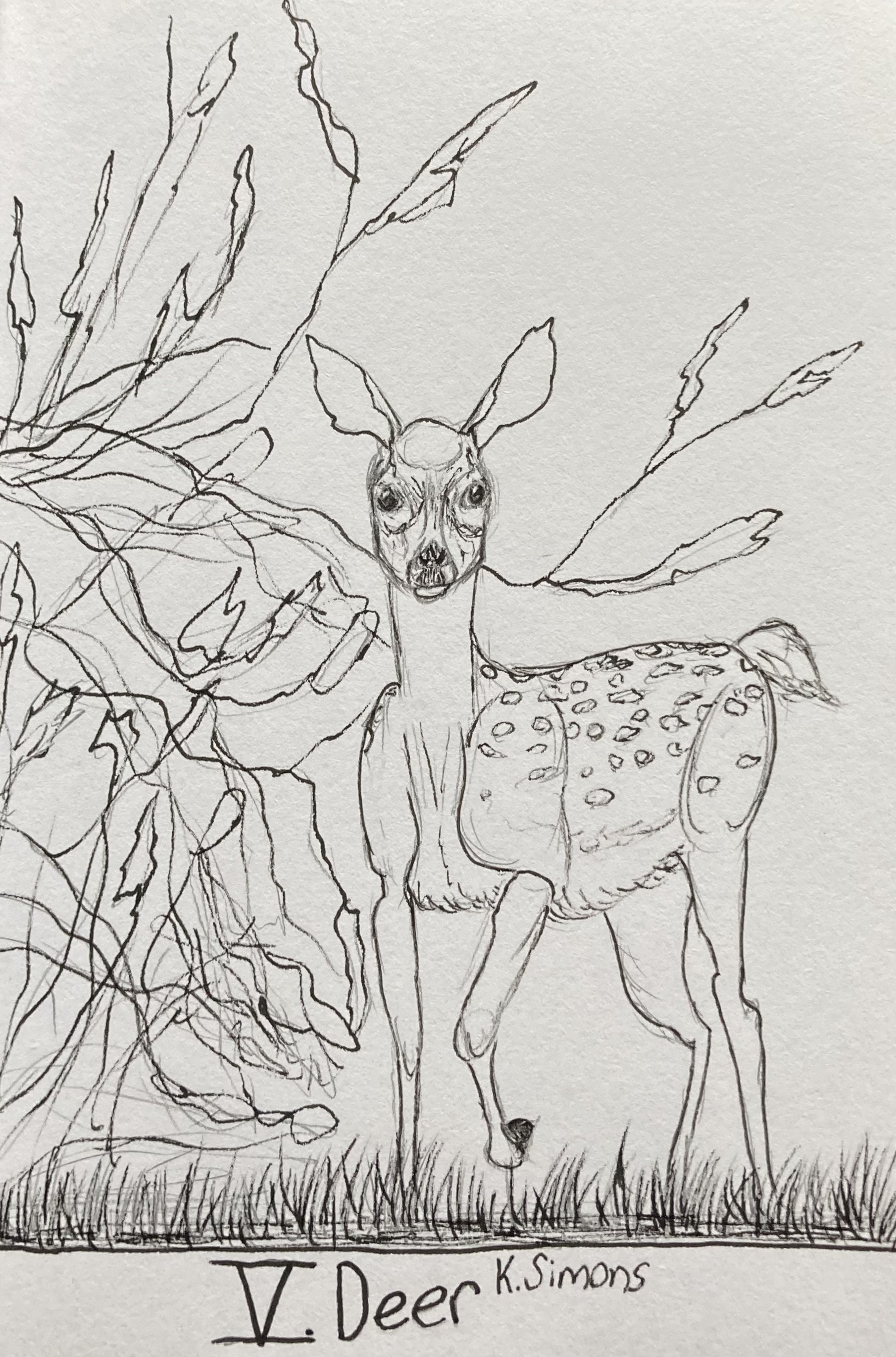 Deer (Pen & pencil on paper, 4x6 inches, October 2025)