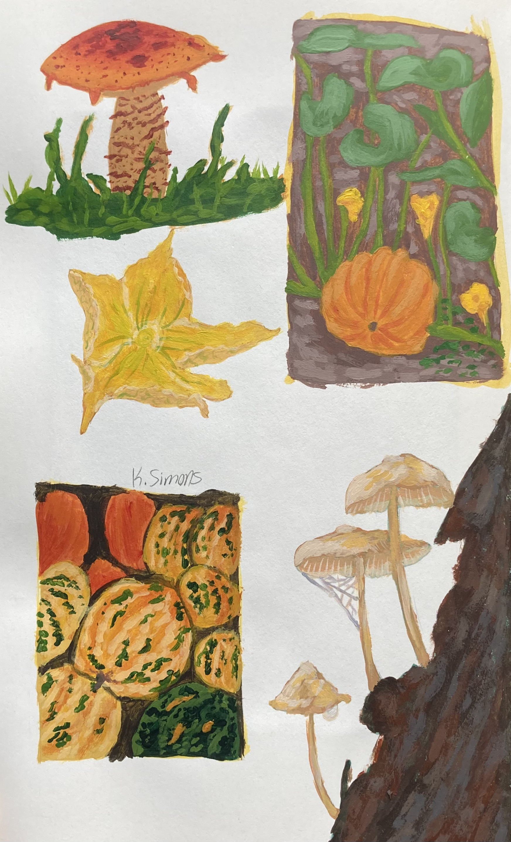 Pumpkin & Mushrooms I (Acrylic on paper, 5x8 inches total, October 2025)