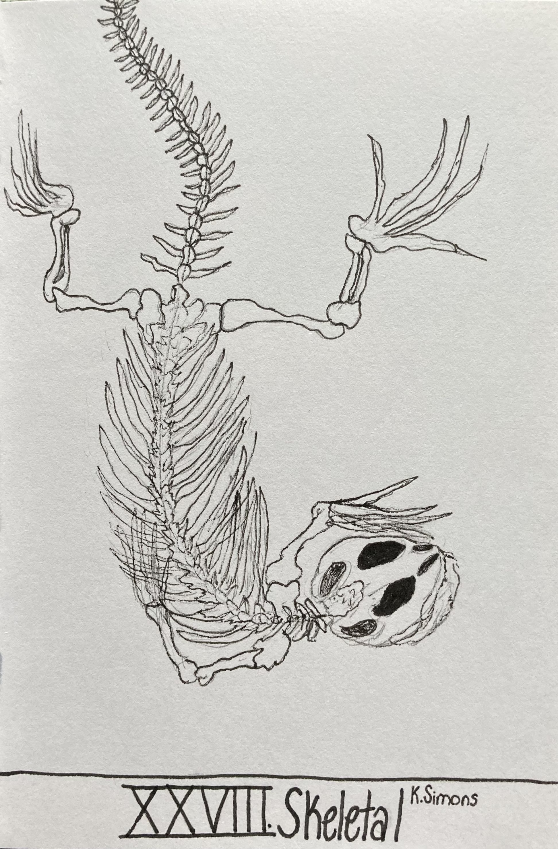 Skeletal (Pen & pencil on paper, 4x6 inches, October 2025)