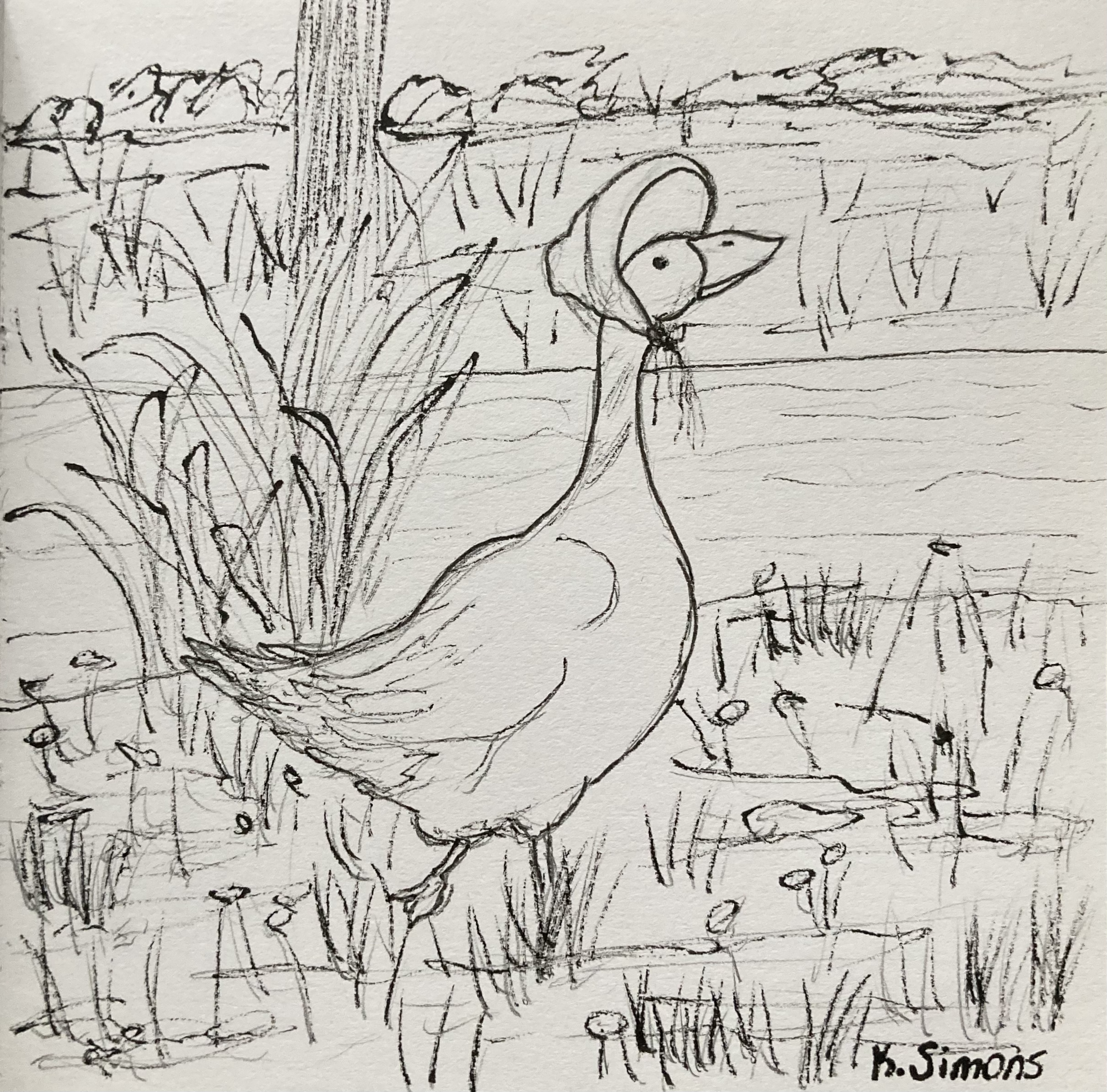 Goose (Pen & pencil on paper, 3.75x3.75 inches, November 2025)