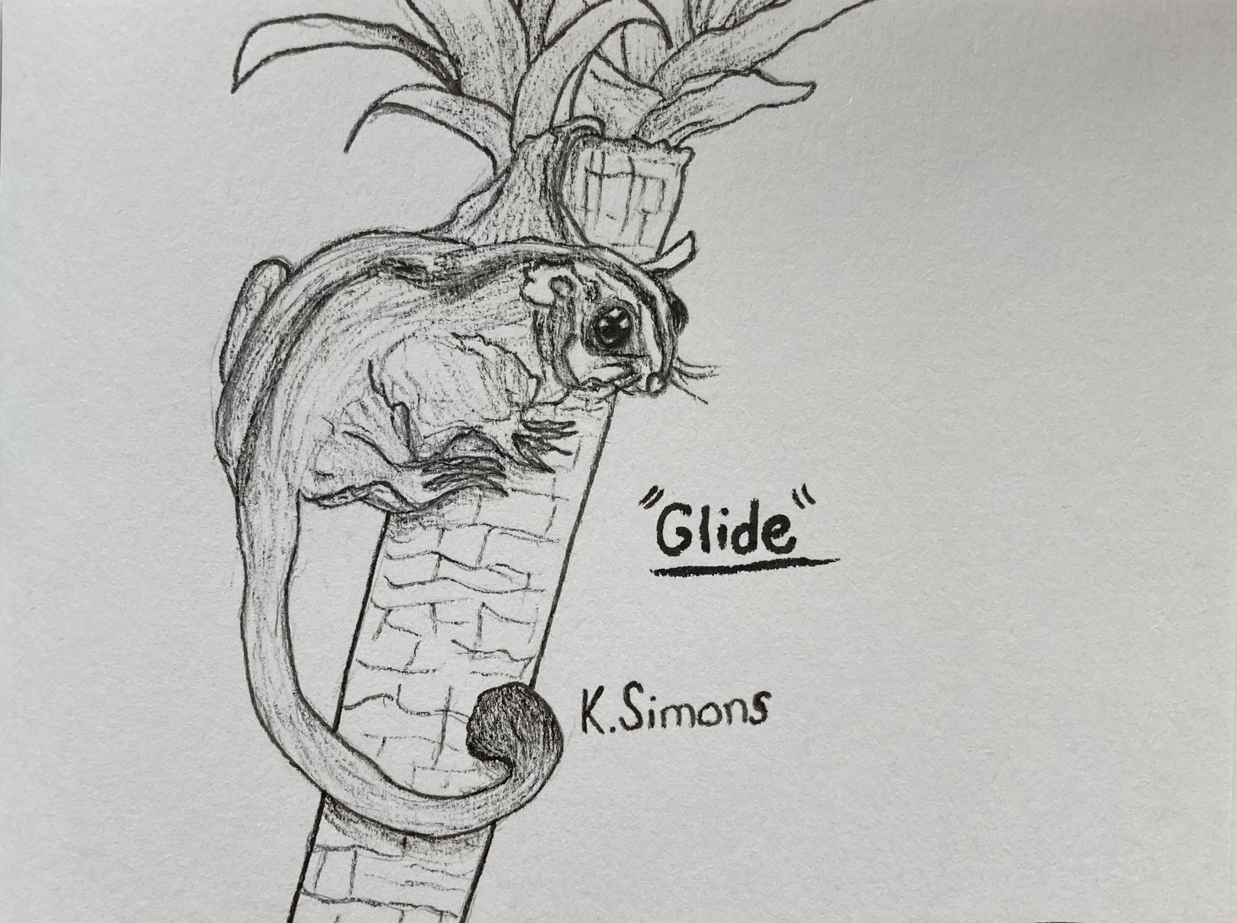 Glide (Pen & pencil on paper, 4x3 inches, January 2026)