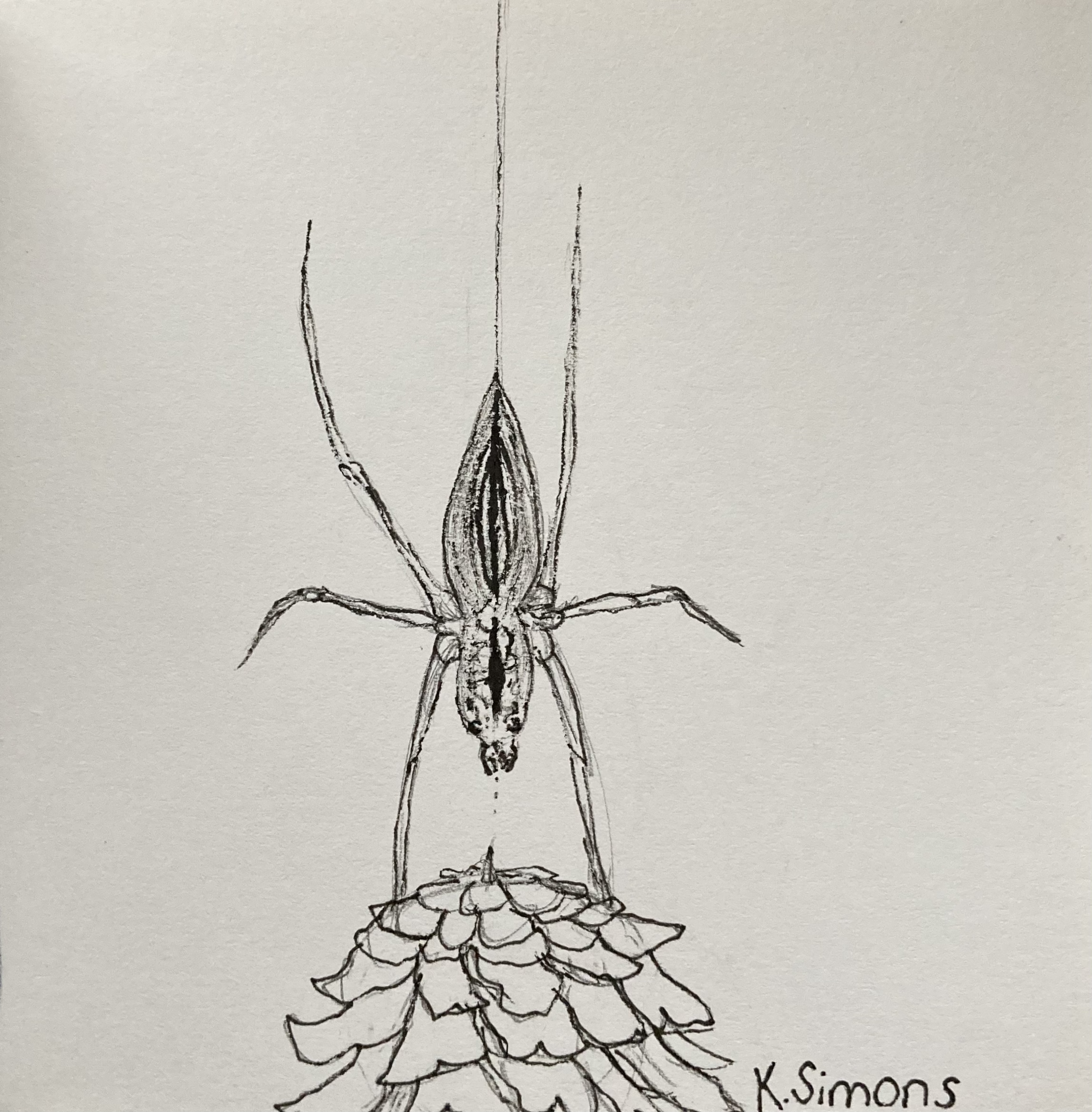 Heavy (Pen & pencil on paper, 3.75x3.75 inches, October/November 2025)