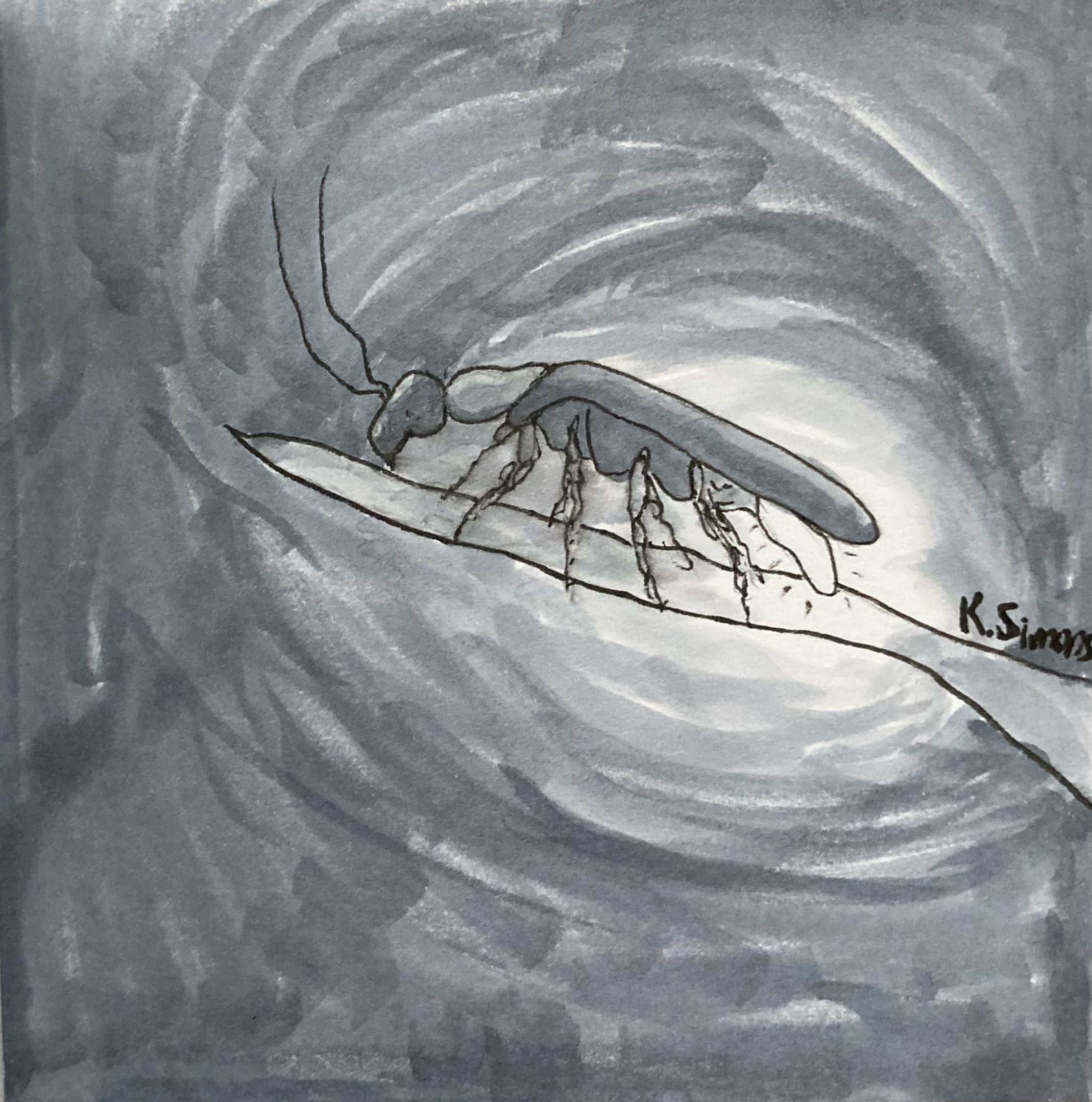 Firefly (Pen, pencil & marker on paper, 3.75x3.75 inches, October/November 2025)