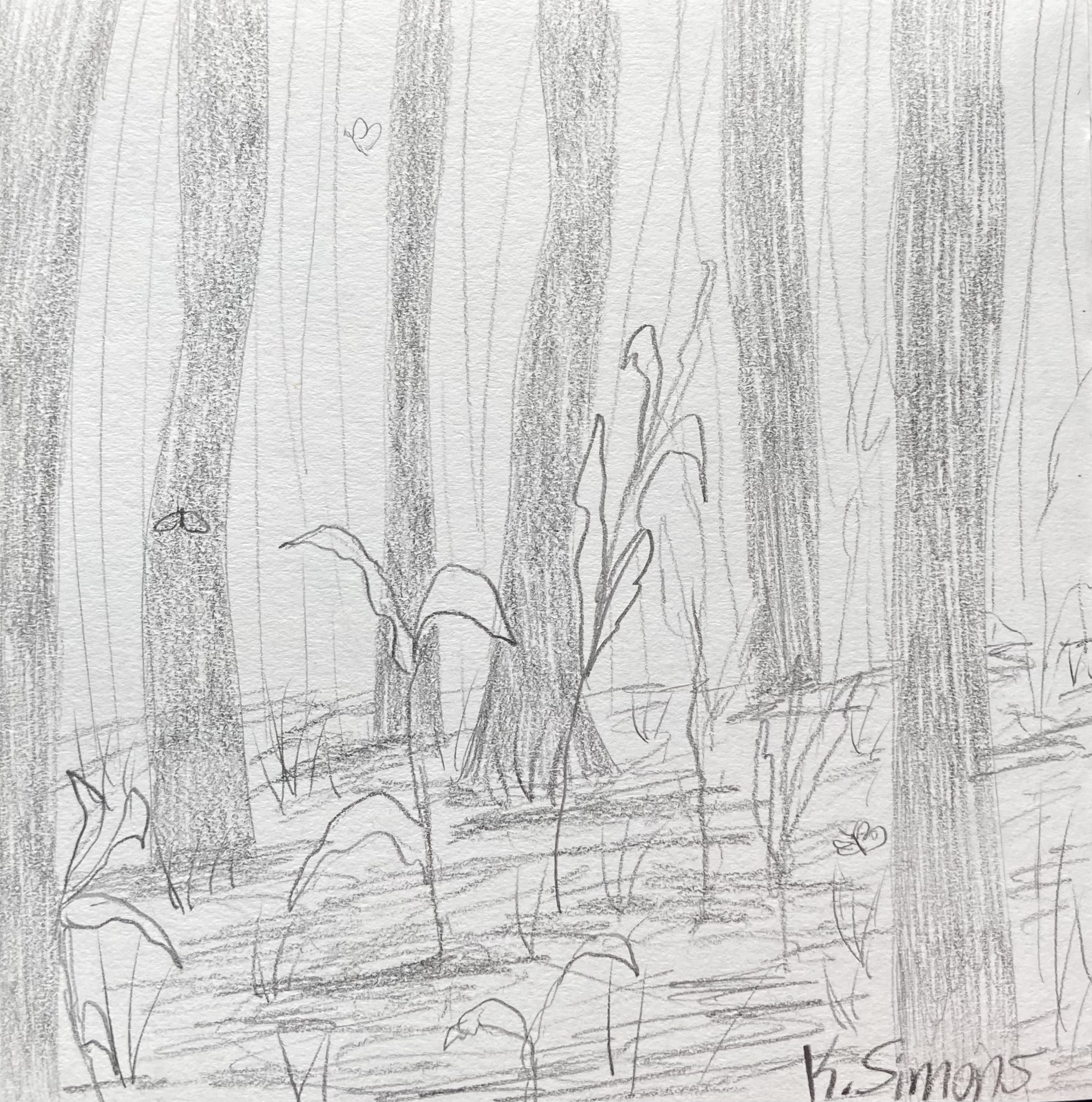 A Moment in the Forest (Pencil on paper, 3.75x3.75 inches, January 2026)