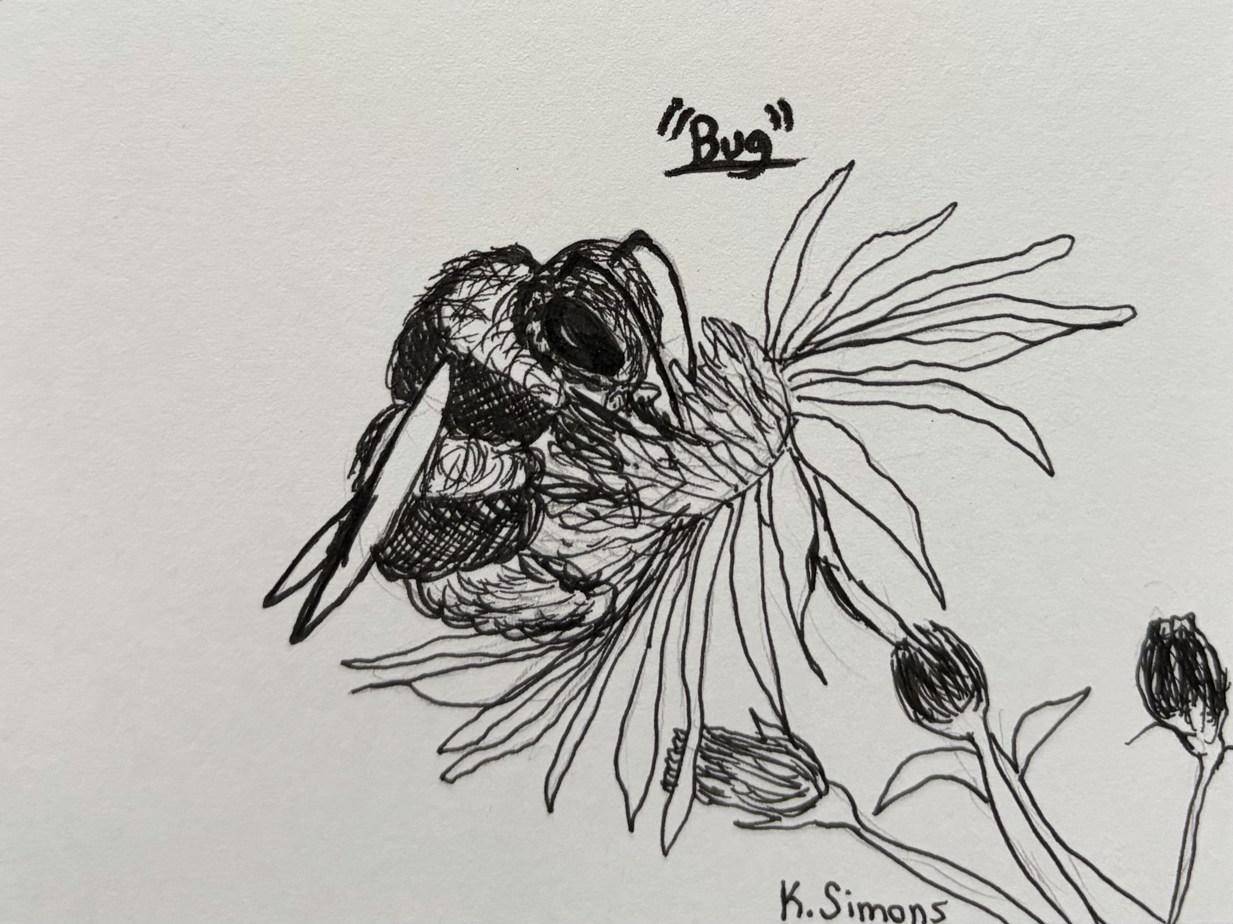 Inktober 52 #28: Bug (Pen & pencil on paper, 4x3 inches, July 2026)
