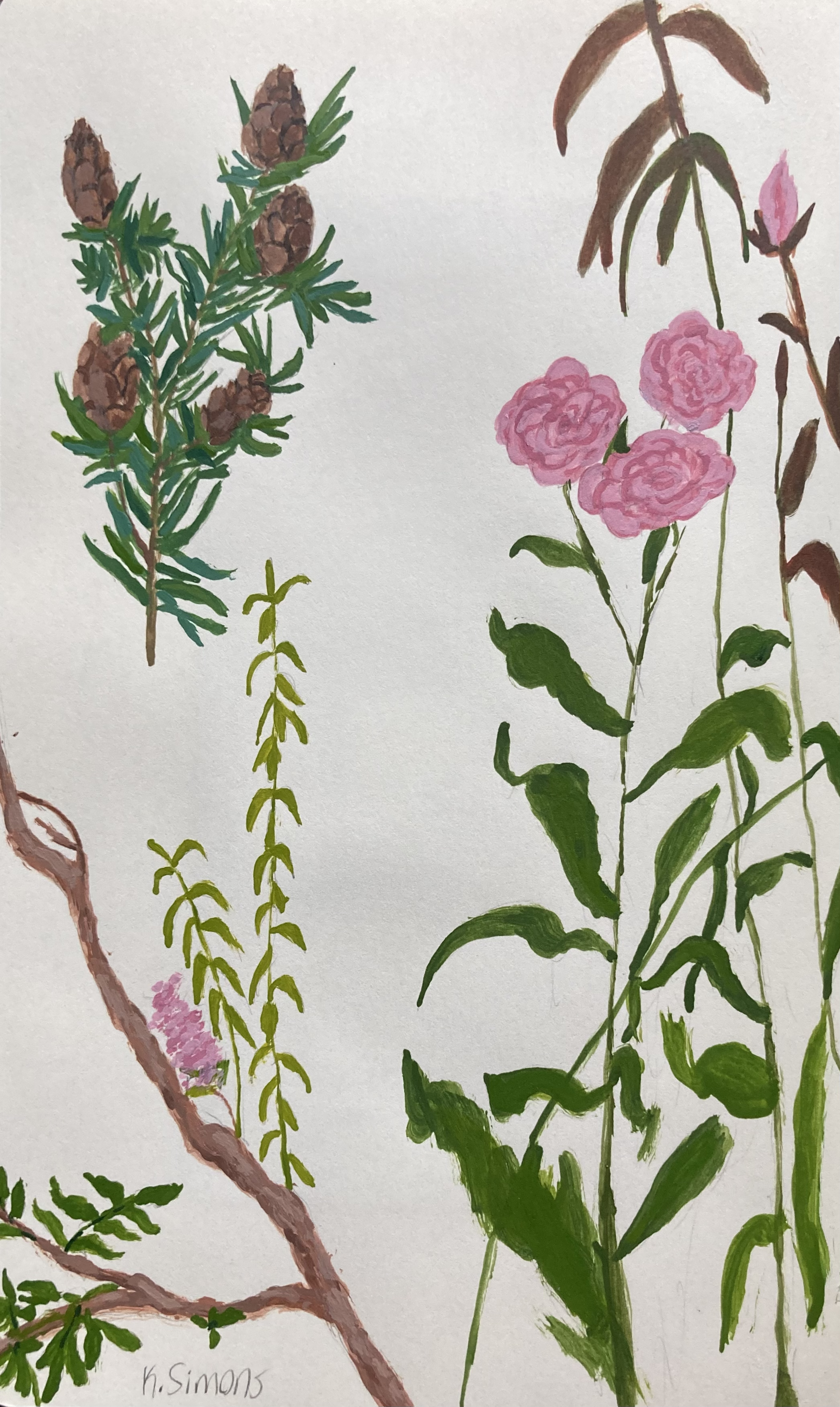 Crepe Myrtle Branch, Roses, Pinecones Studies (Acrylic on paper, 5x8 inches, July 2025)
