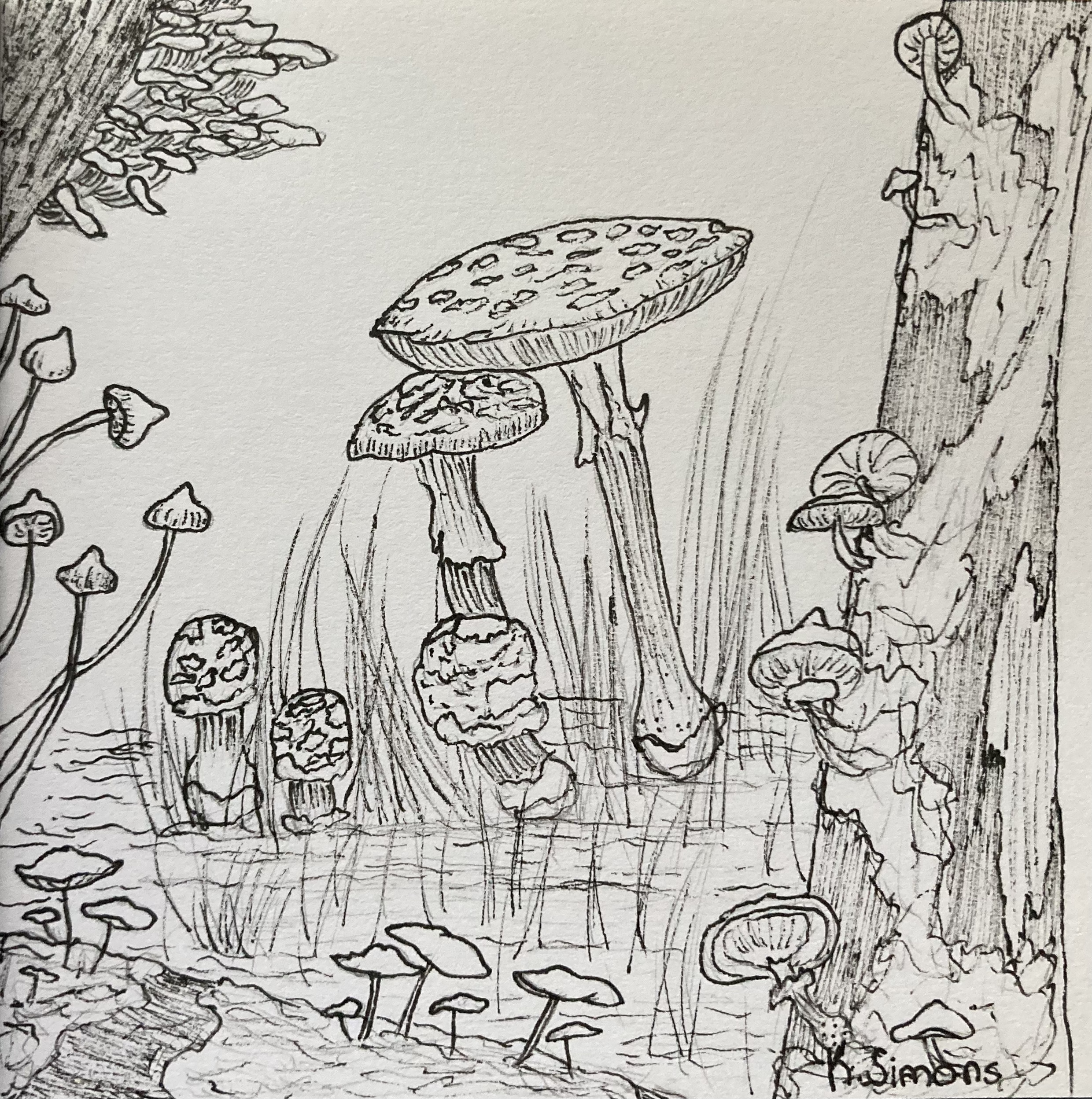 Fungi (Pen & pencil on paper, 3.75x3.75 inches, May 2025)