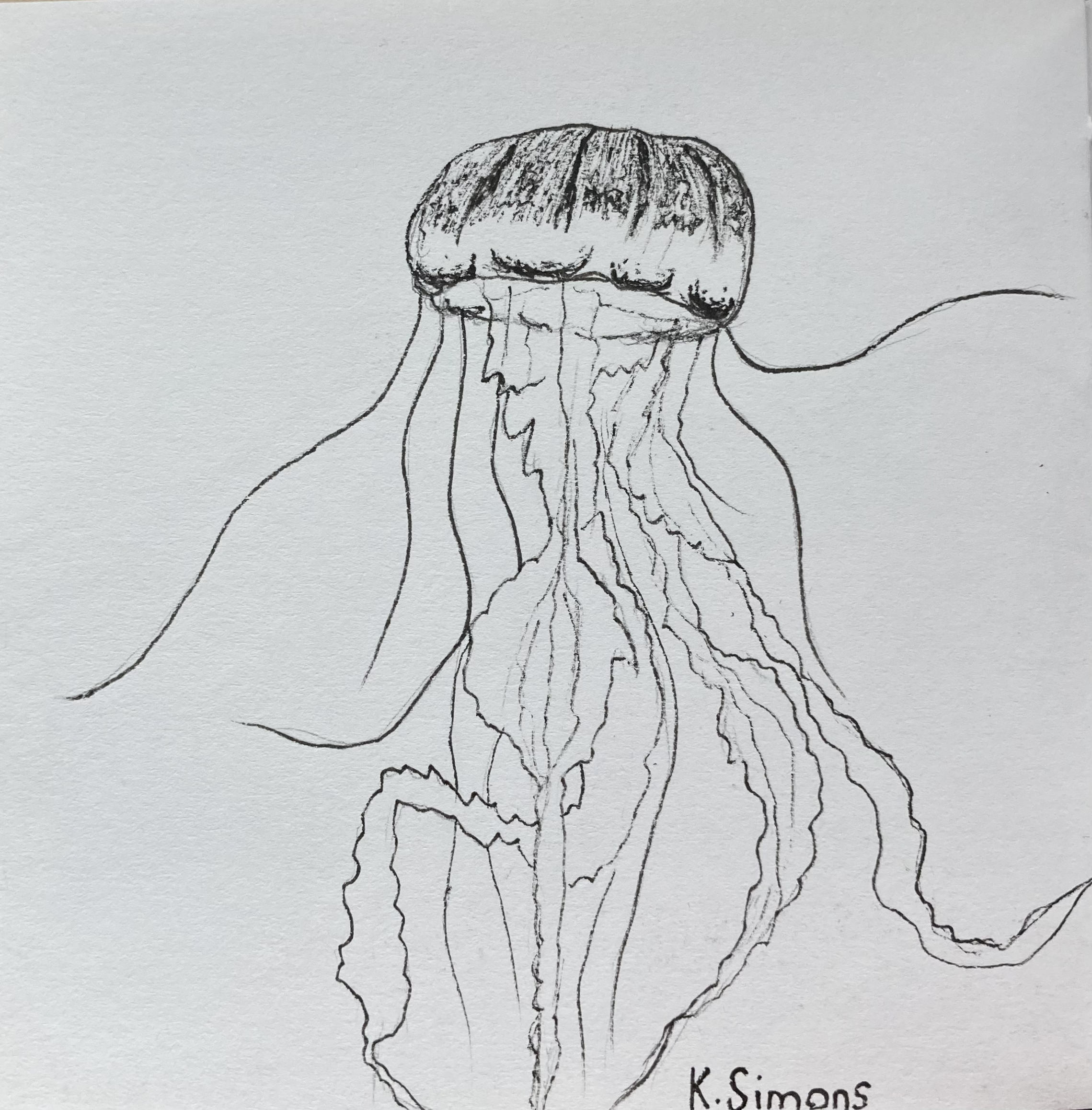 Inktober 52 #1&2: Free Time (Pen & pencil on paper, 3.75x3.75 inches, January 2026)