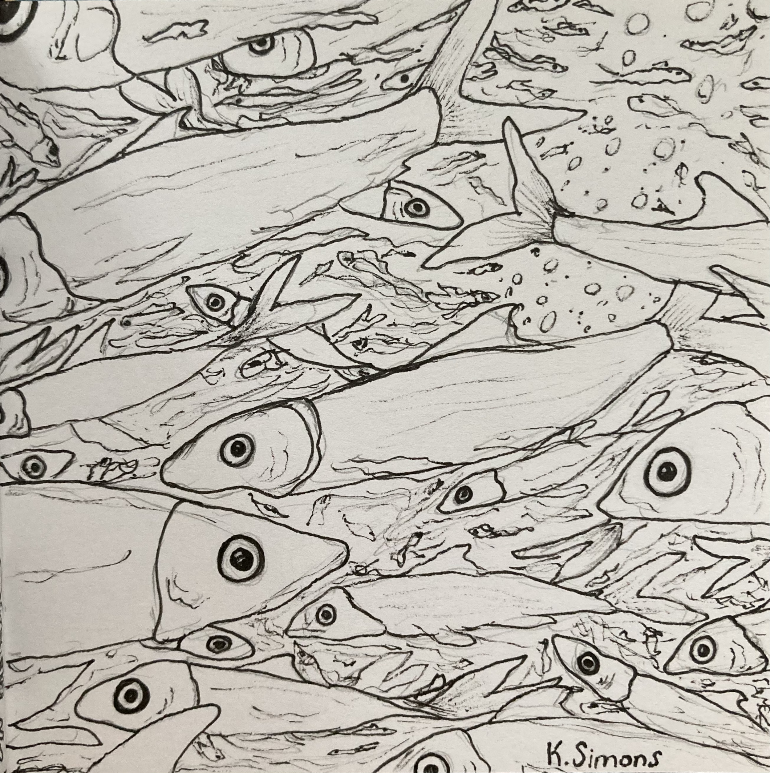 Sardines (Pen & pencil on paper, 3.75x3.75 inches, July 2025)