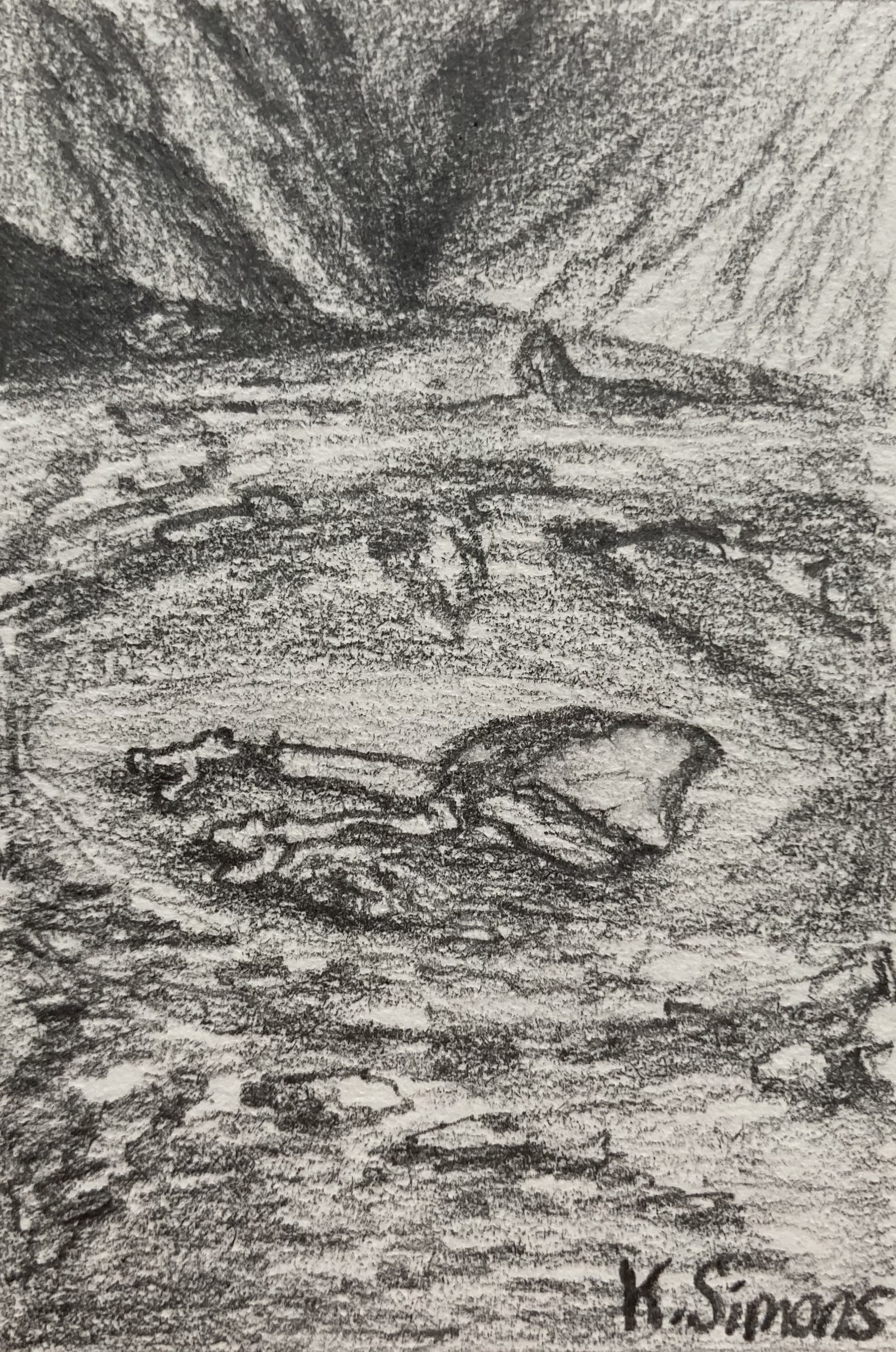 Bear Bones (Pencil on paper, 2x3 inches, July 2025) (reference courtesy of aillwee burren experience website)