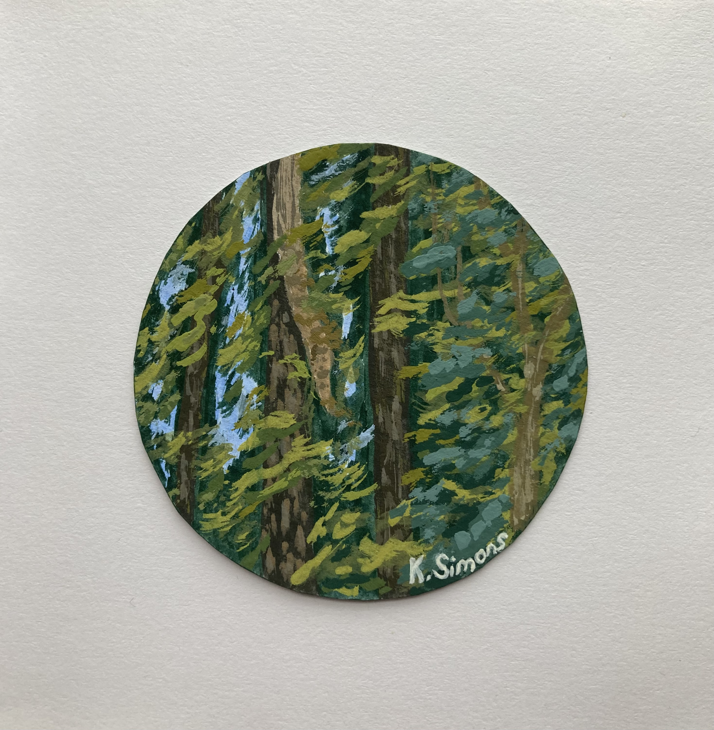 Peeling Bark (Gouache on paper, 2.25 inch diameter, March 2025)