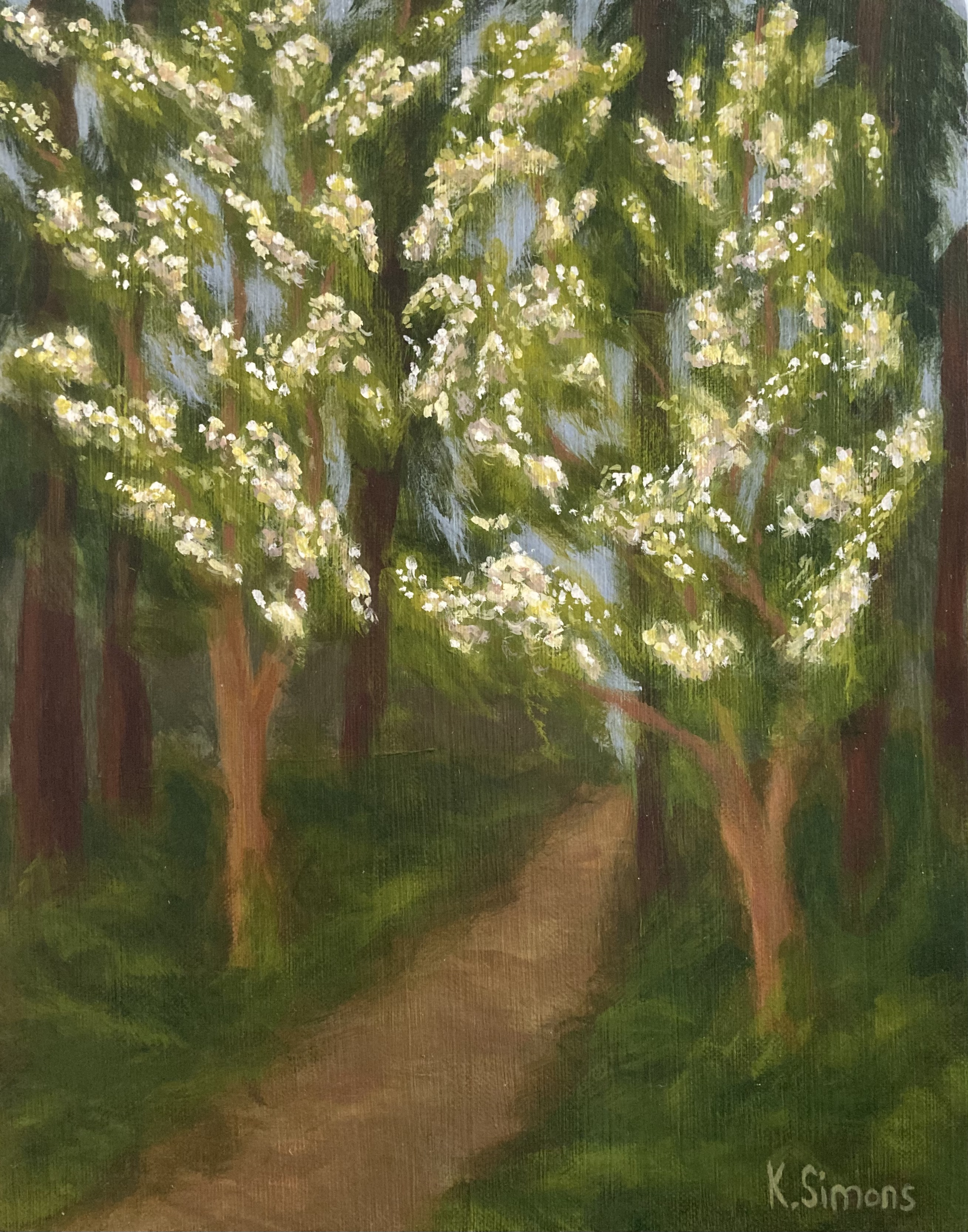 Dogwood Trees in a Forest (Acrylic on canvas, 11x14 inches, April 2024)