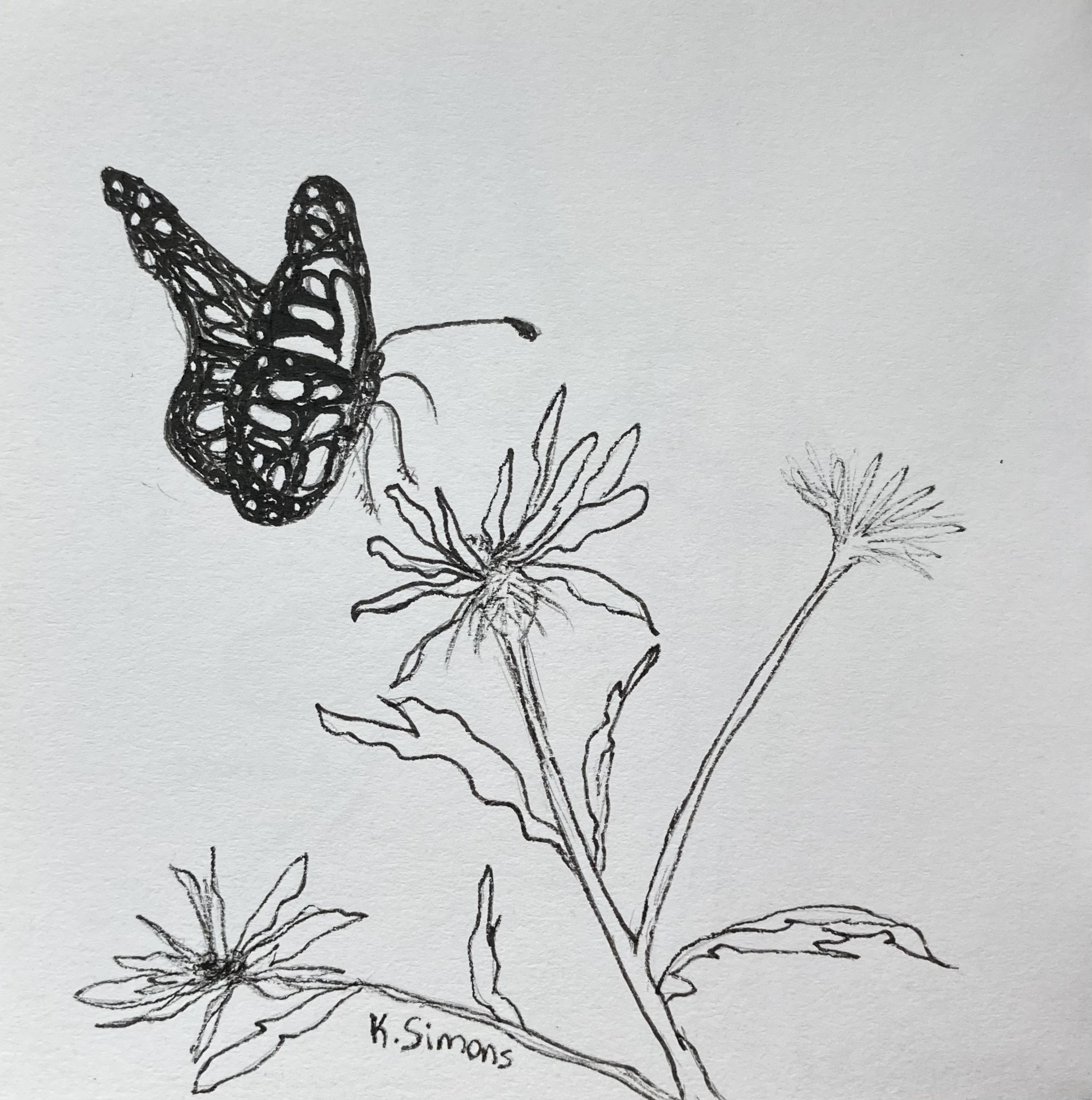 Inktober 52 #1&2: Free Time (Pen & pencil on paper, 3.75x3.75 inches, January 2026)