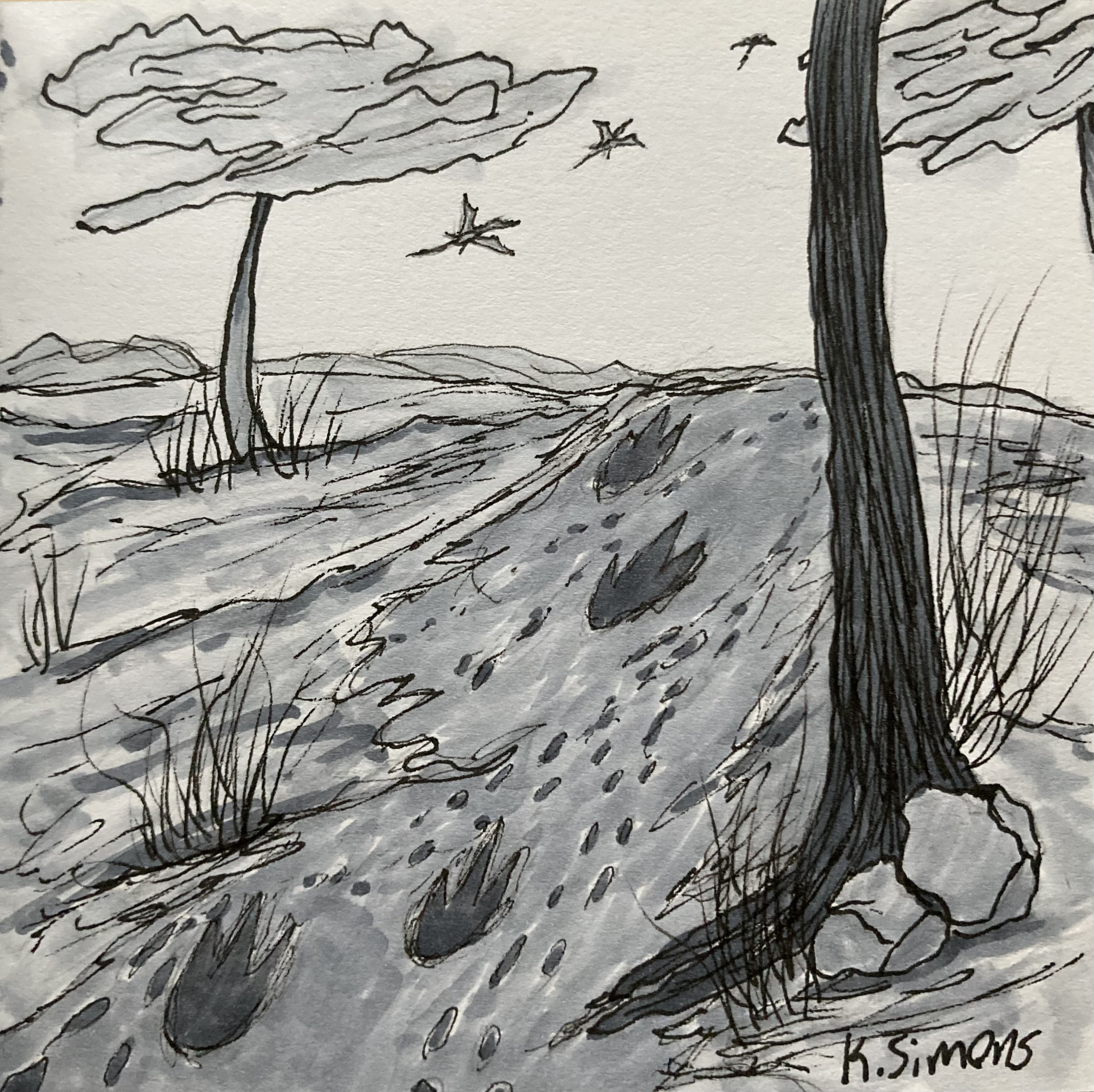 Trek (Pen, pencil & marker on paper, 3.75x3.75 inches, October 2024)