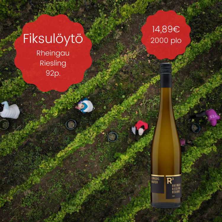 Rheingau Riesling, joka on todellinen löytö!  