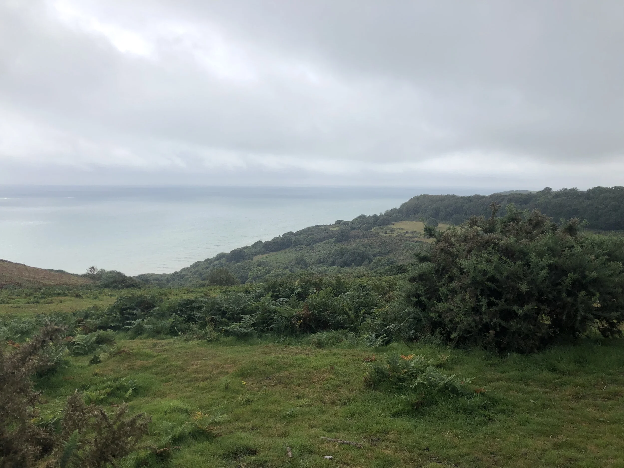 Looking south-west over Warren Glen