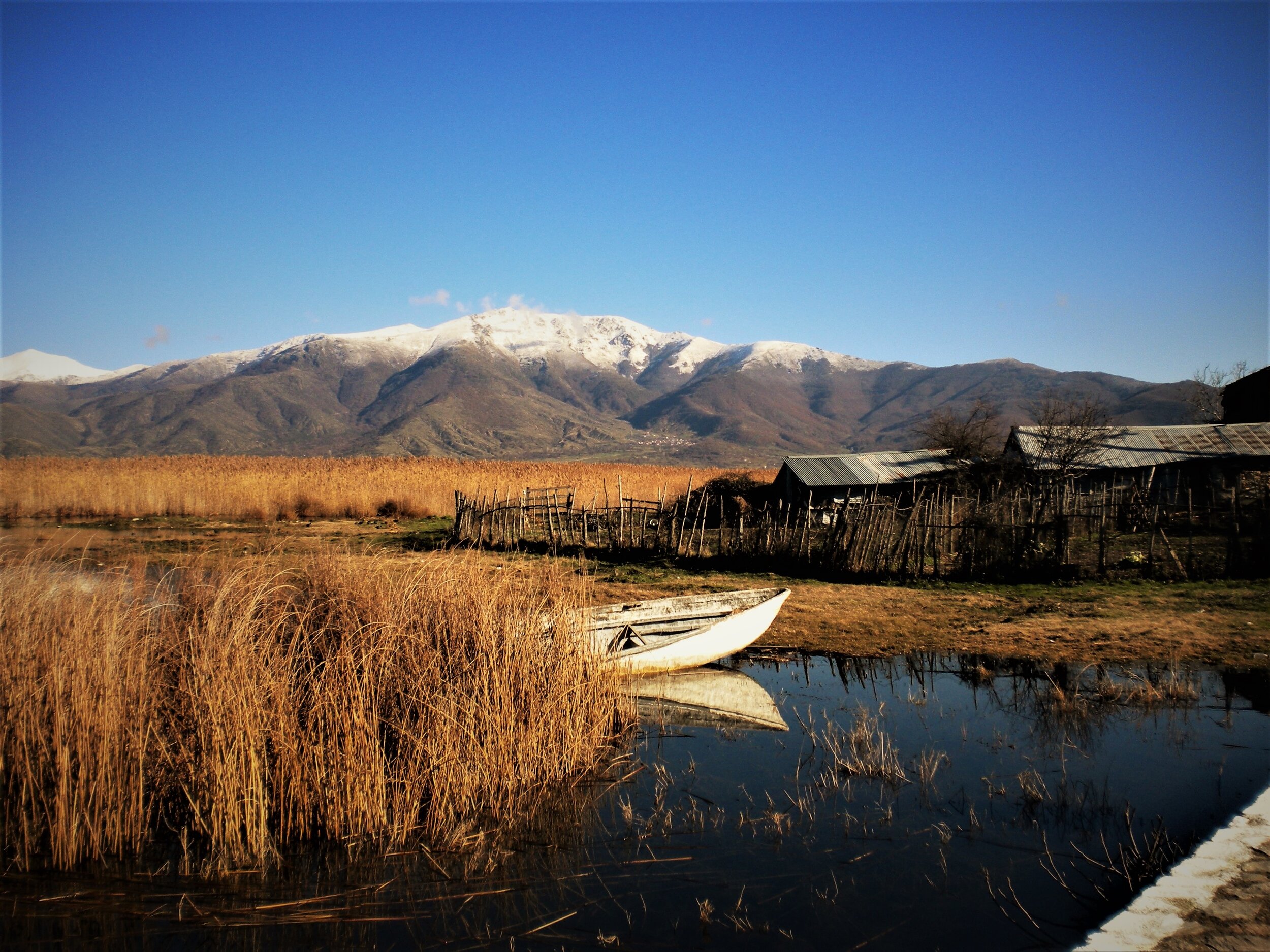 dscn1487__2_.jpg